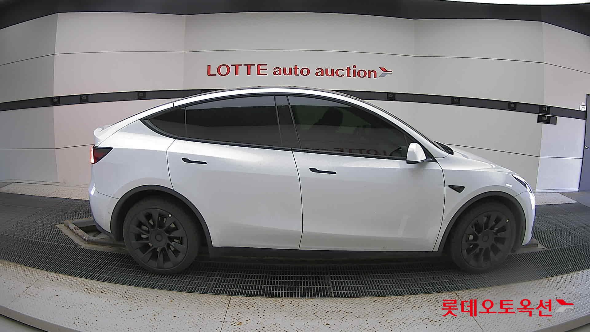 تسلا MODEL Y