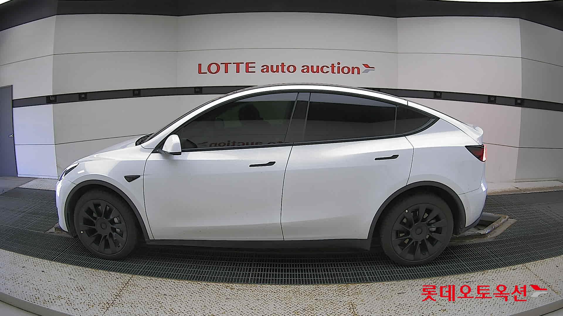 تسلا MODEL Y