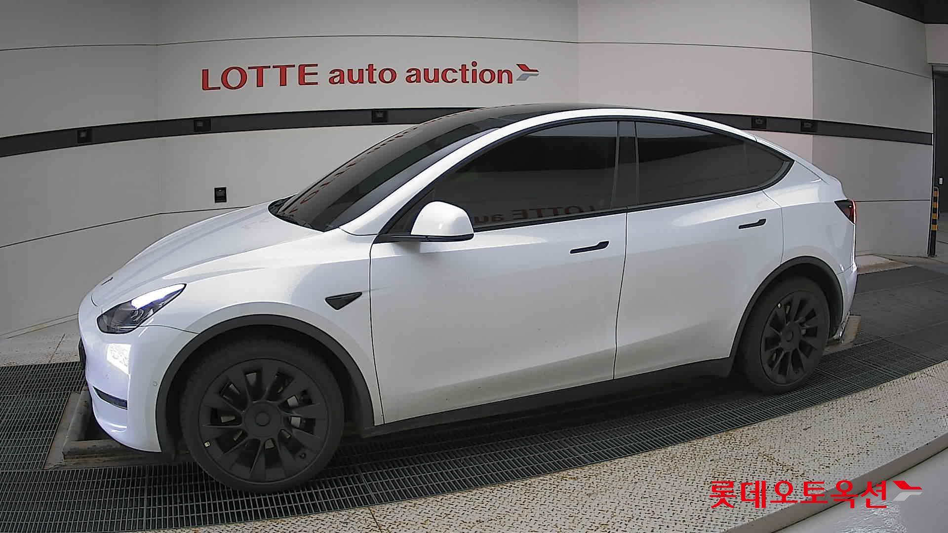 تسلا MODEL Y
