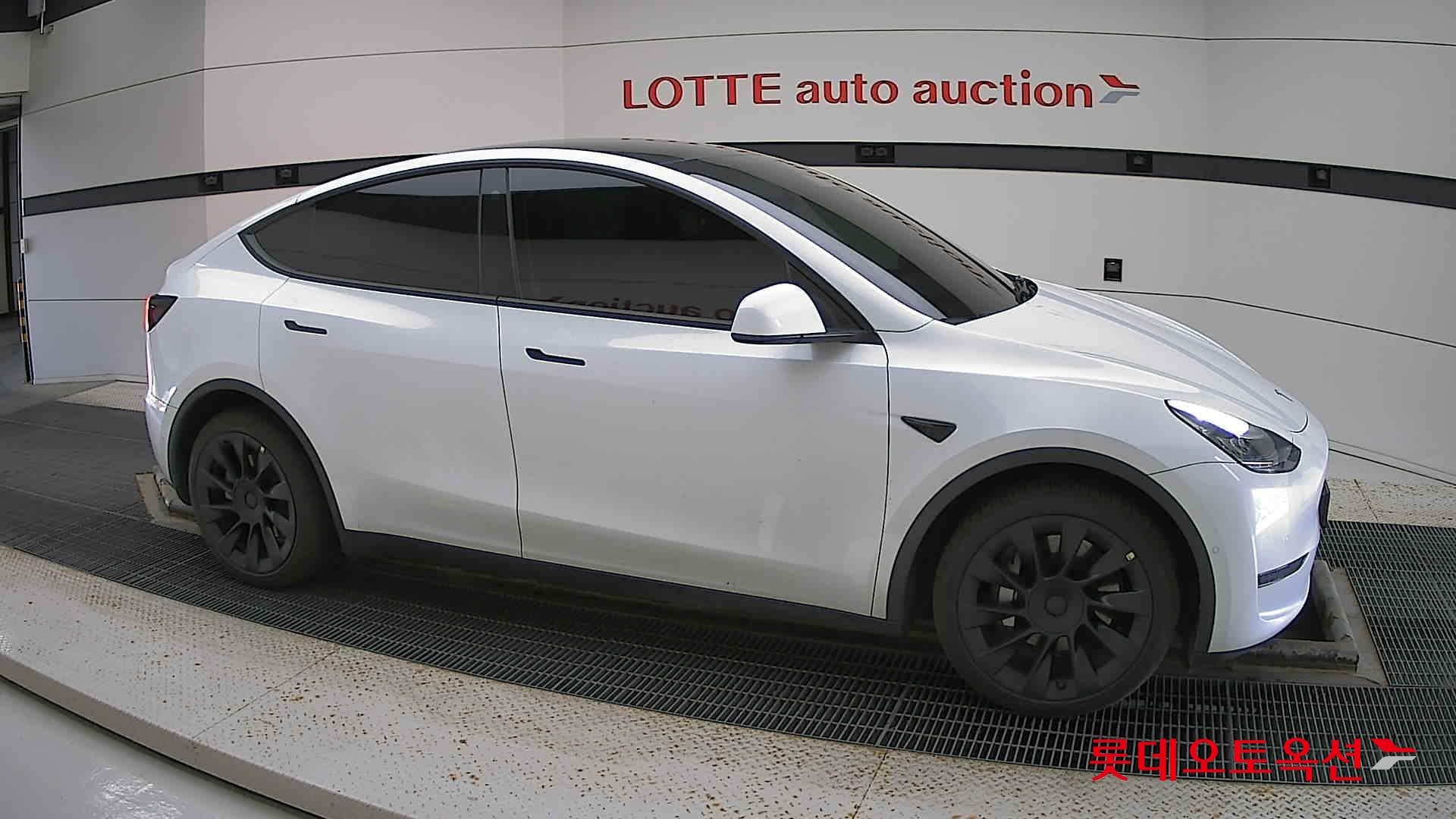 تسلا MODEL Y