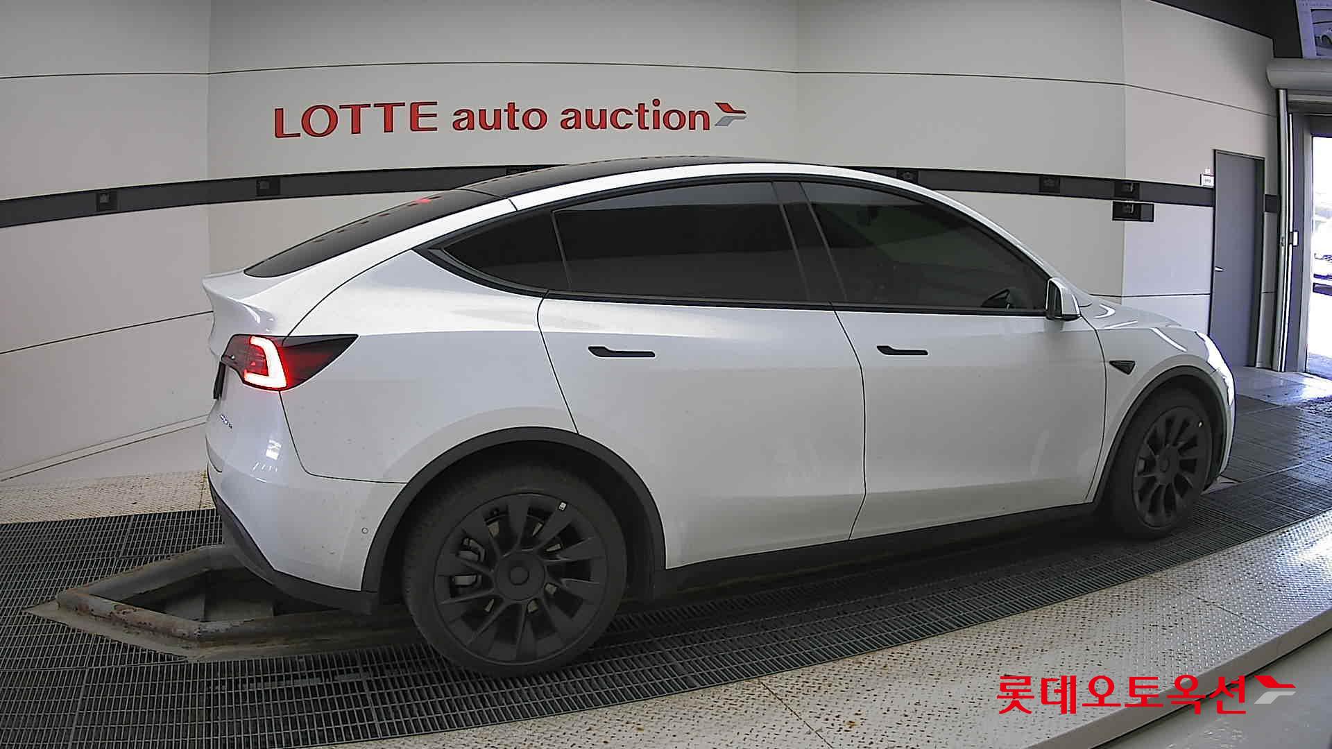 تسلا MODEL Y