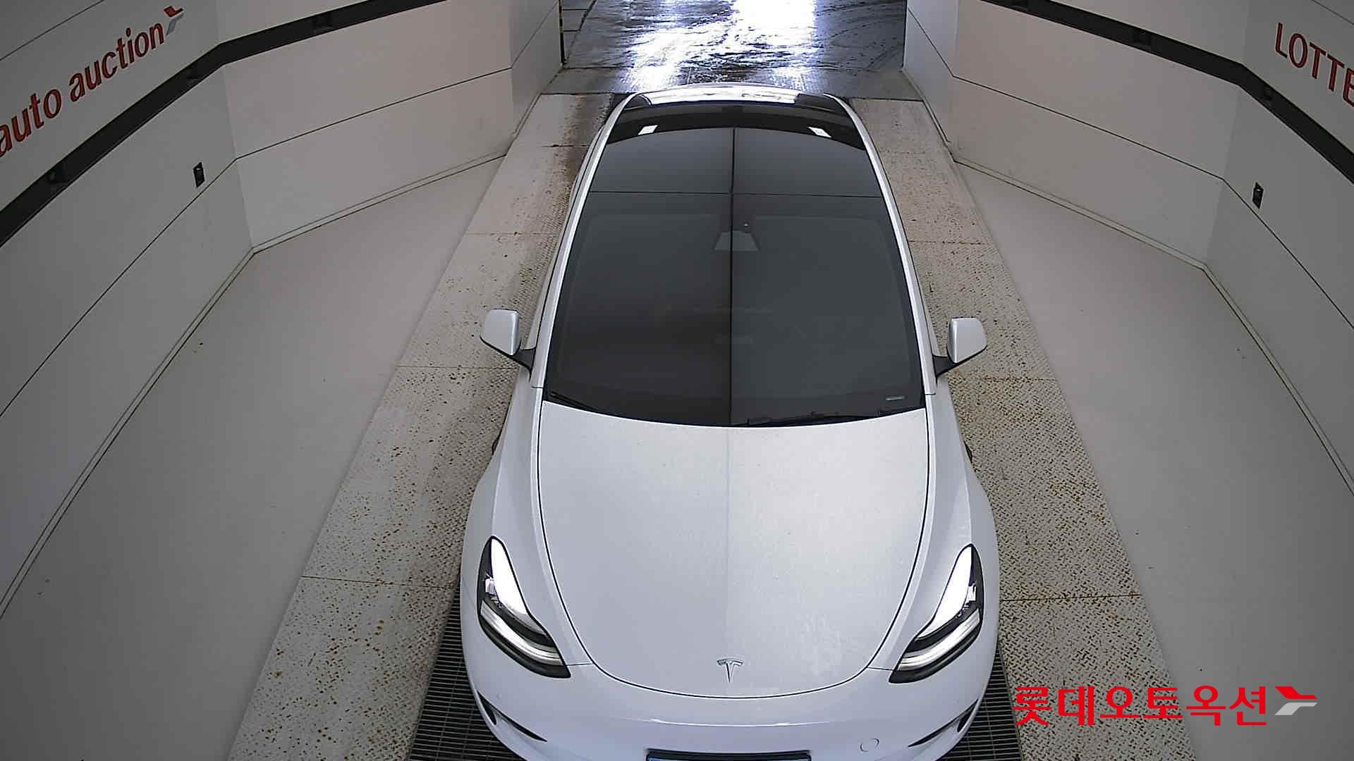 تسلا MODEL Y