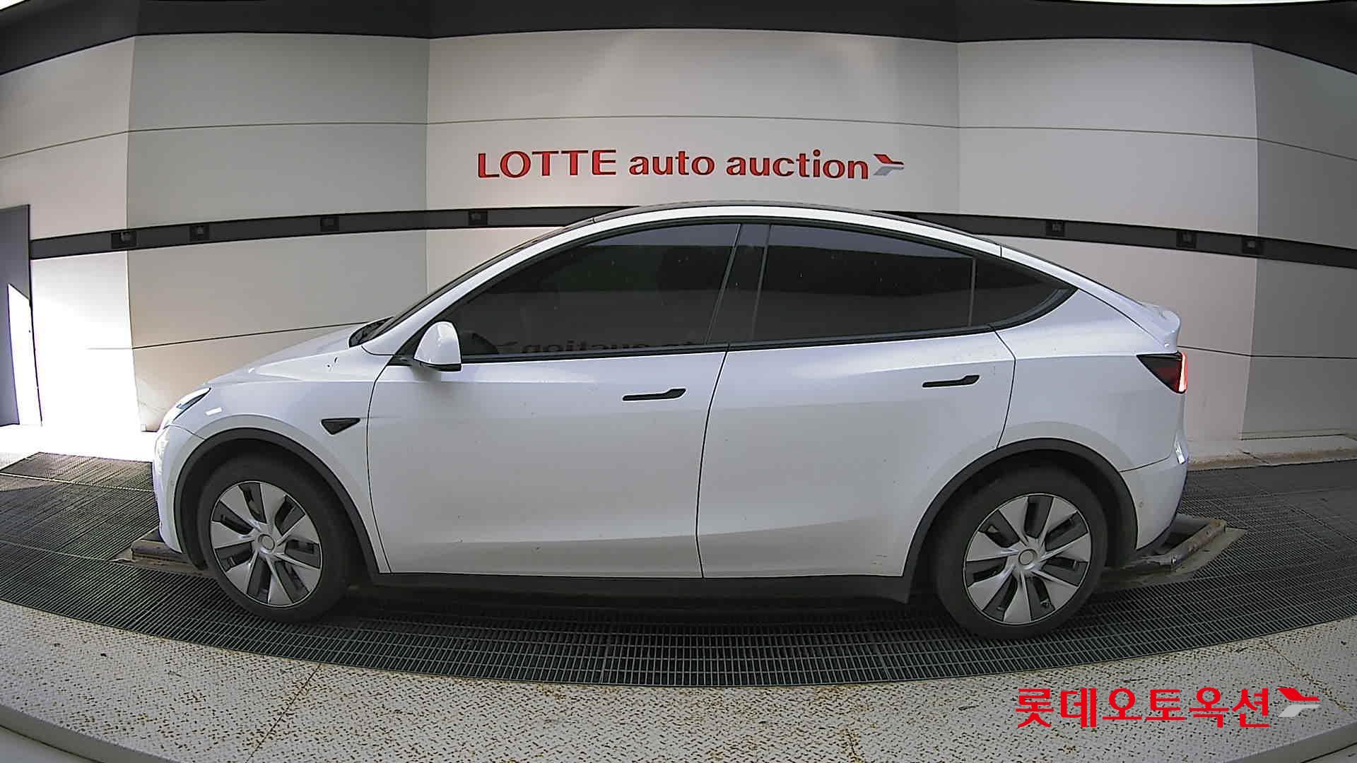 تسلا MODEL Y