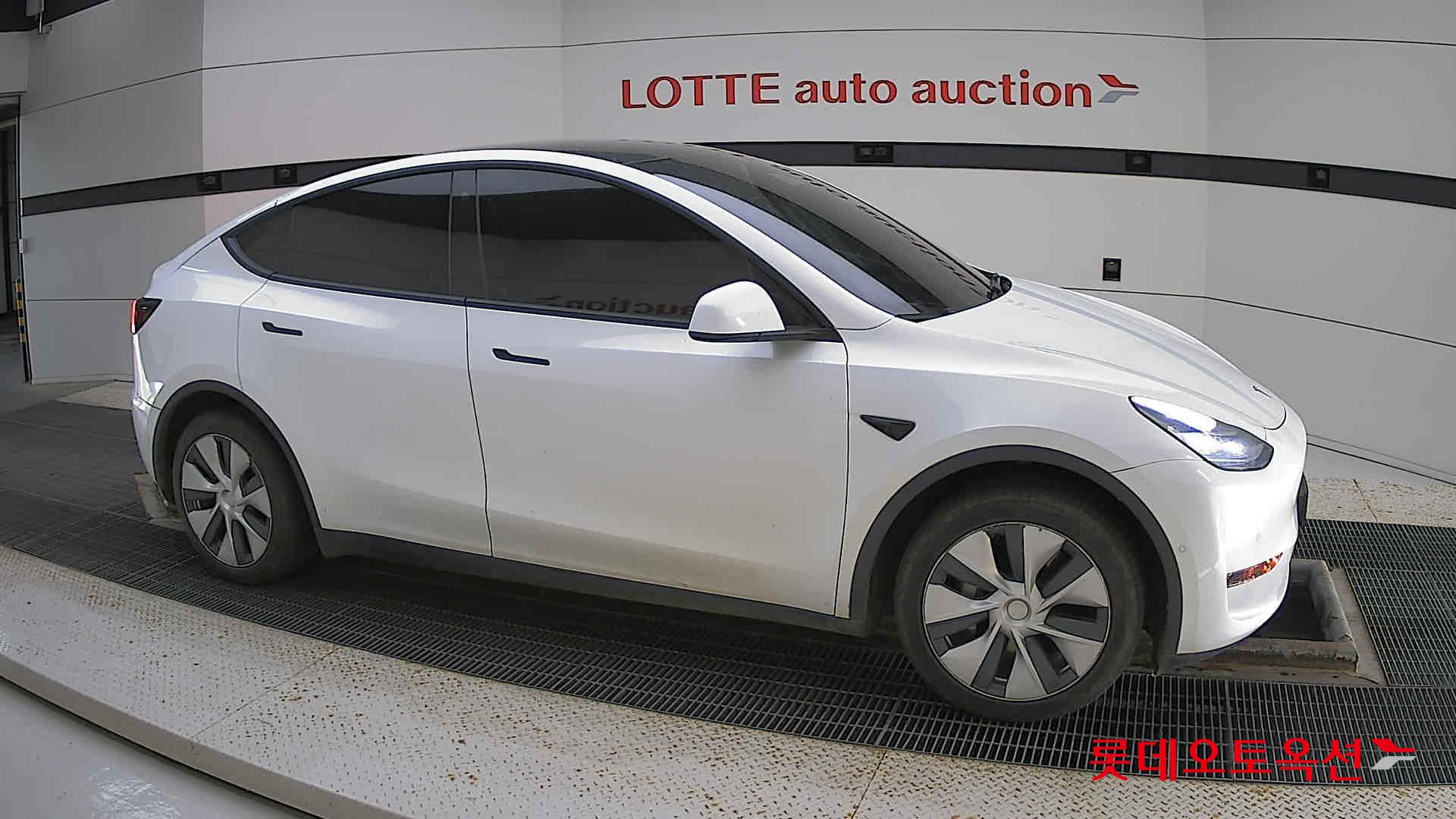 تسلا MODEL Y