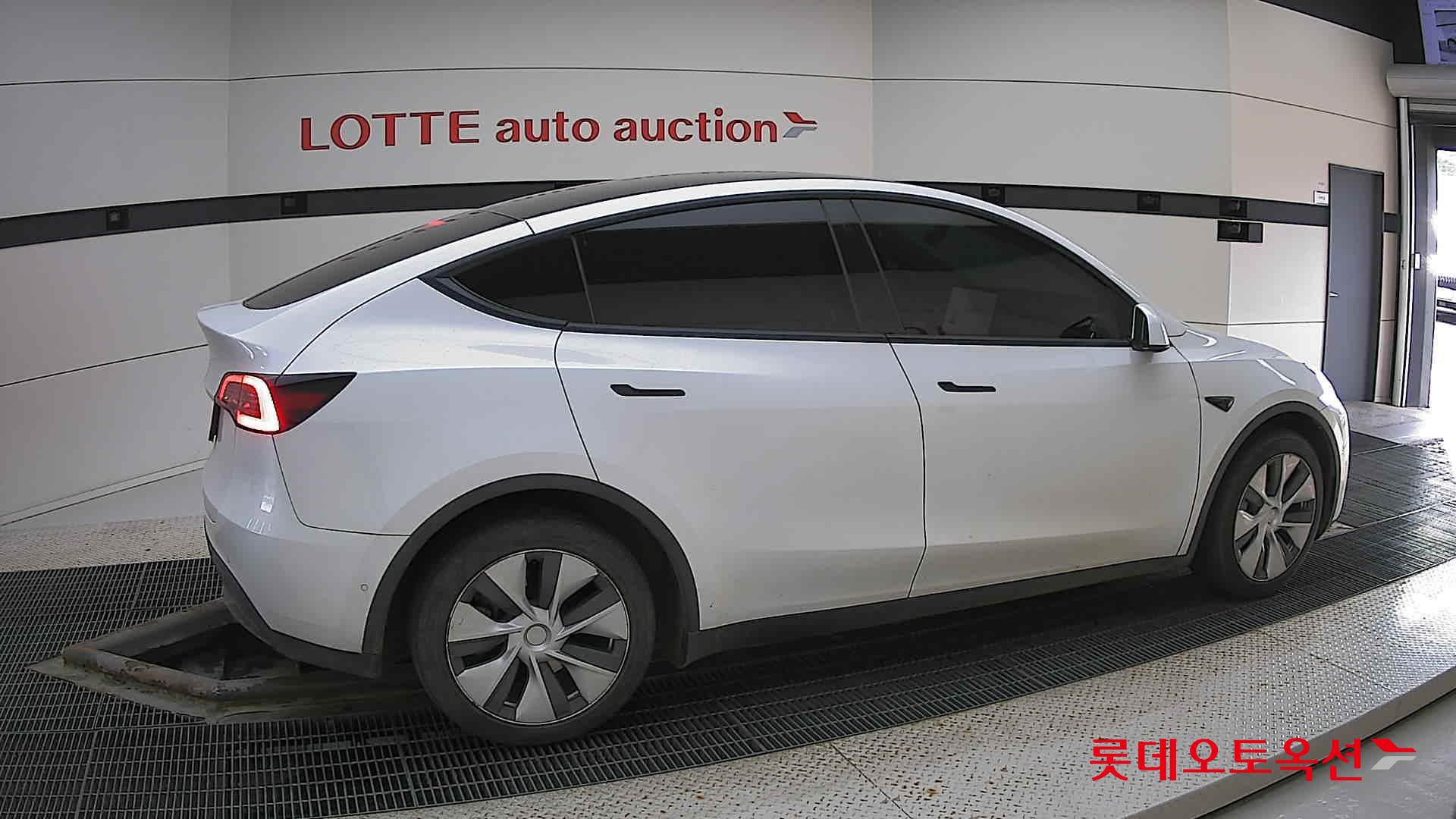 تسلا MODEL Y