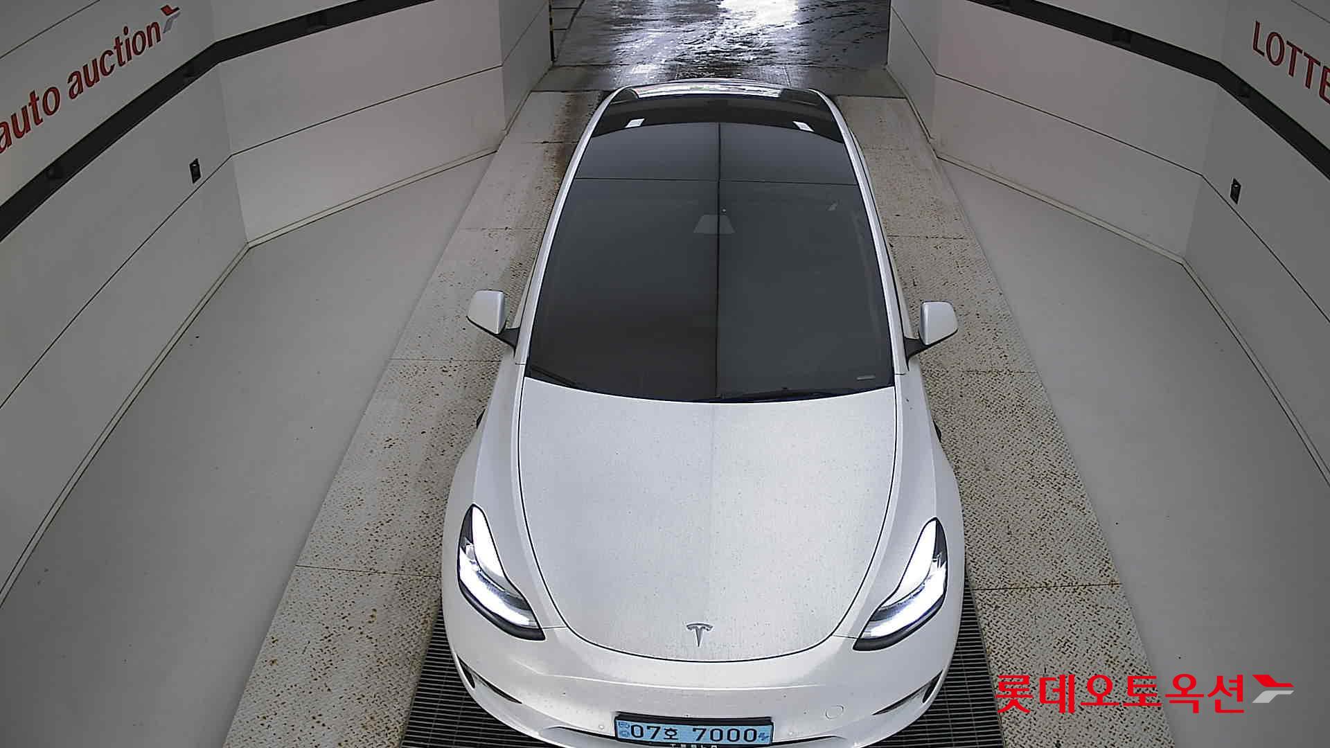 تسلا MODEL Y