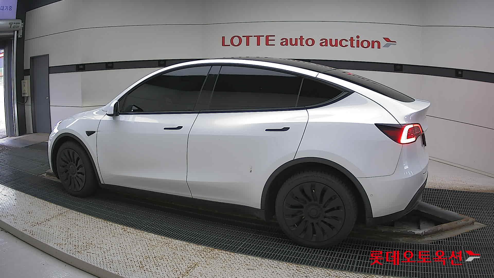 تسلا MODEL Y