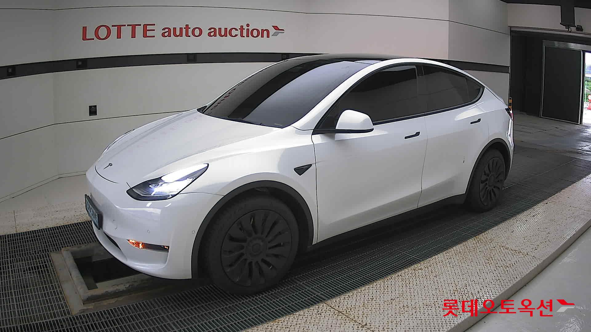 تسلا MODEL Y
