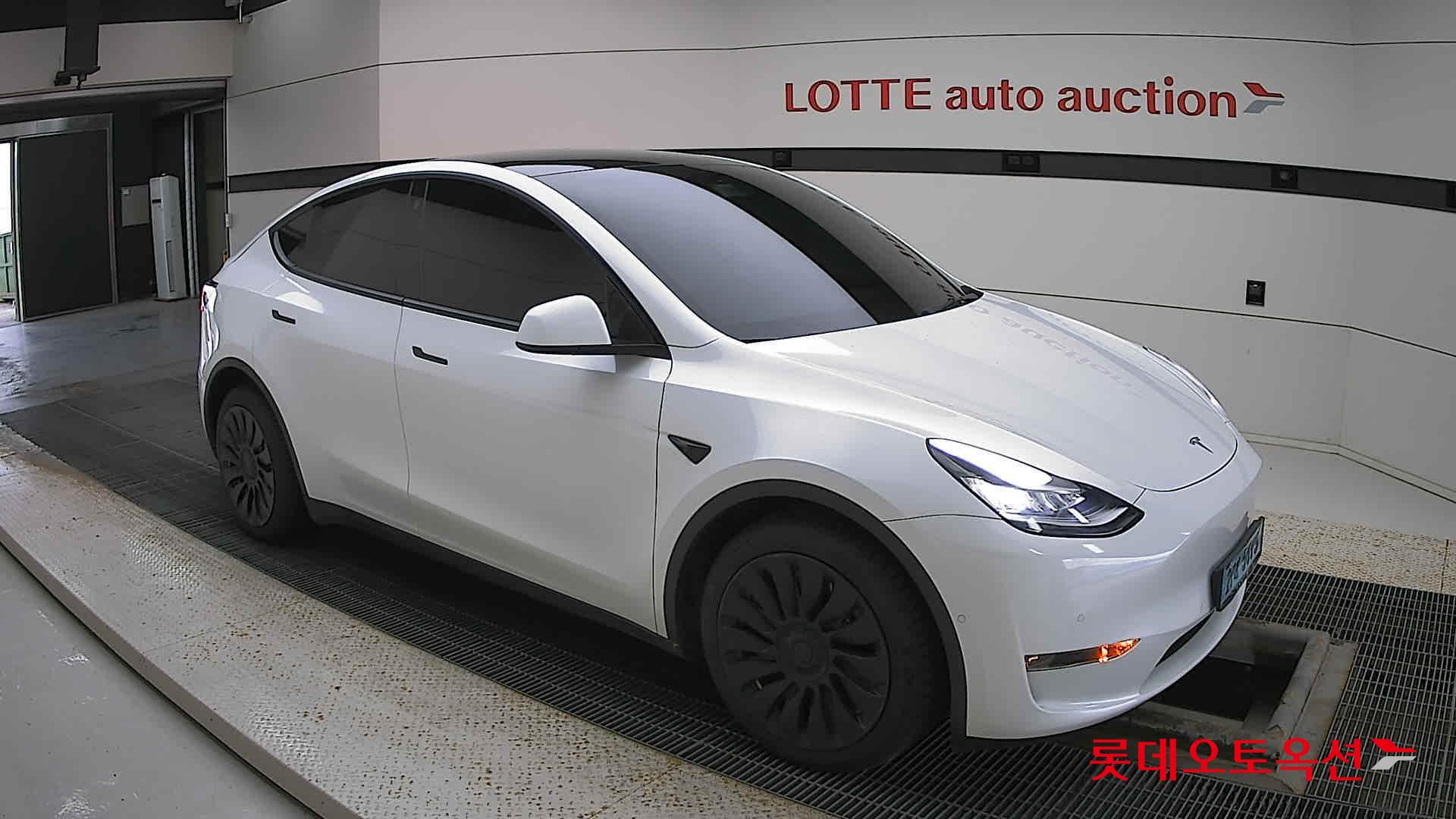 تسلا MODEL Y
