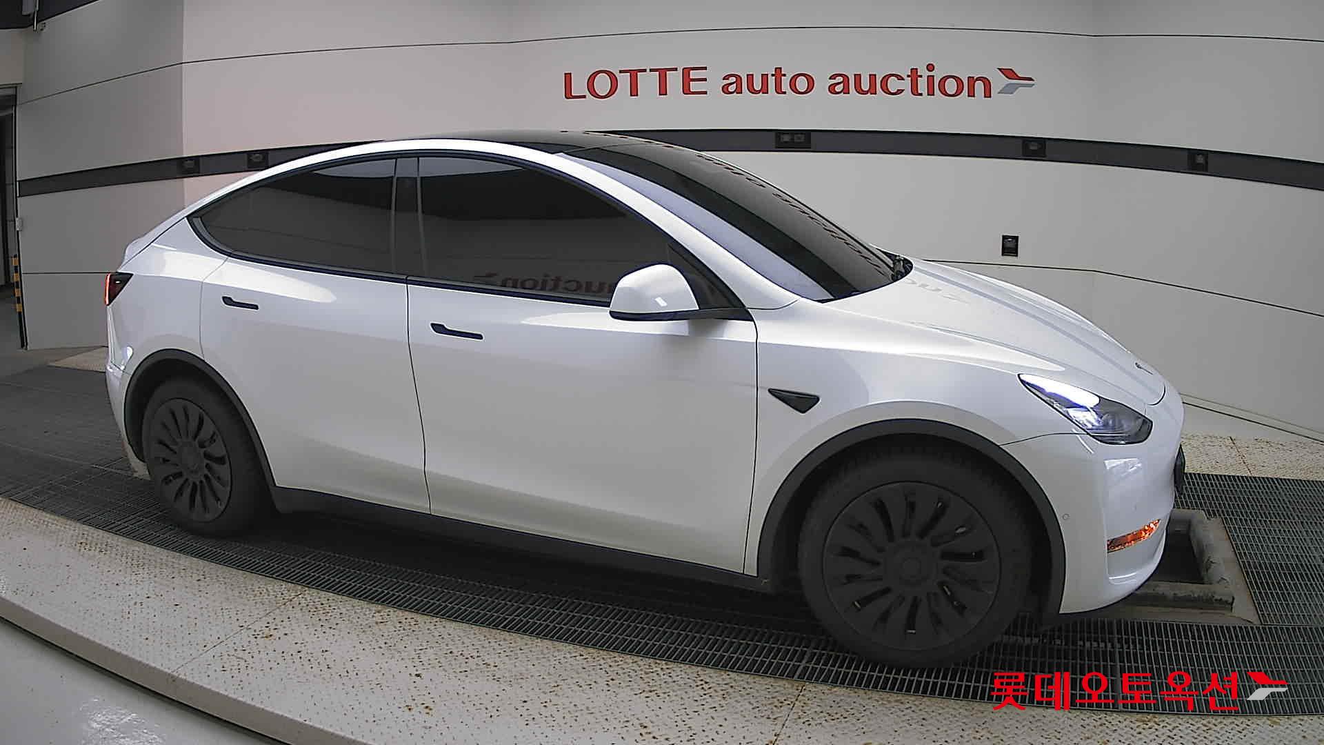 تسلا MODEL Y