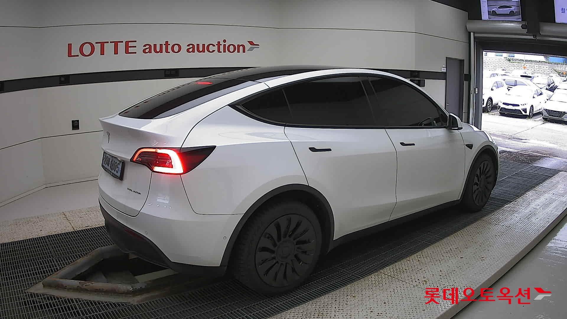تسلا MODEL Y