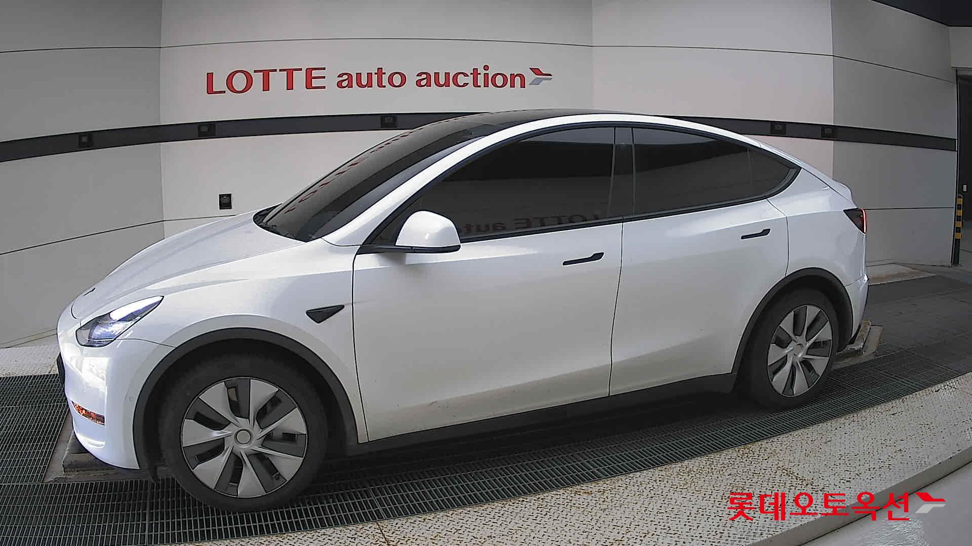 تسلا MODEL Y
