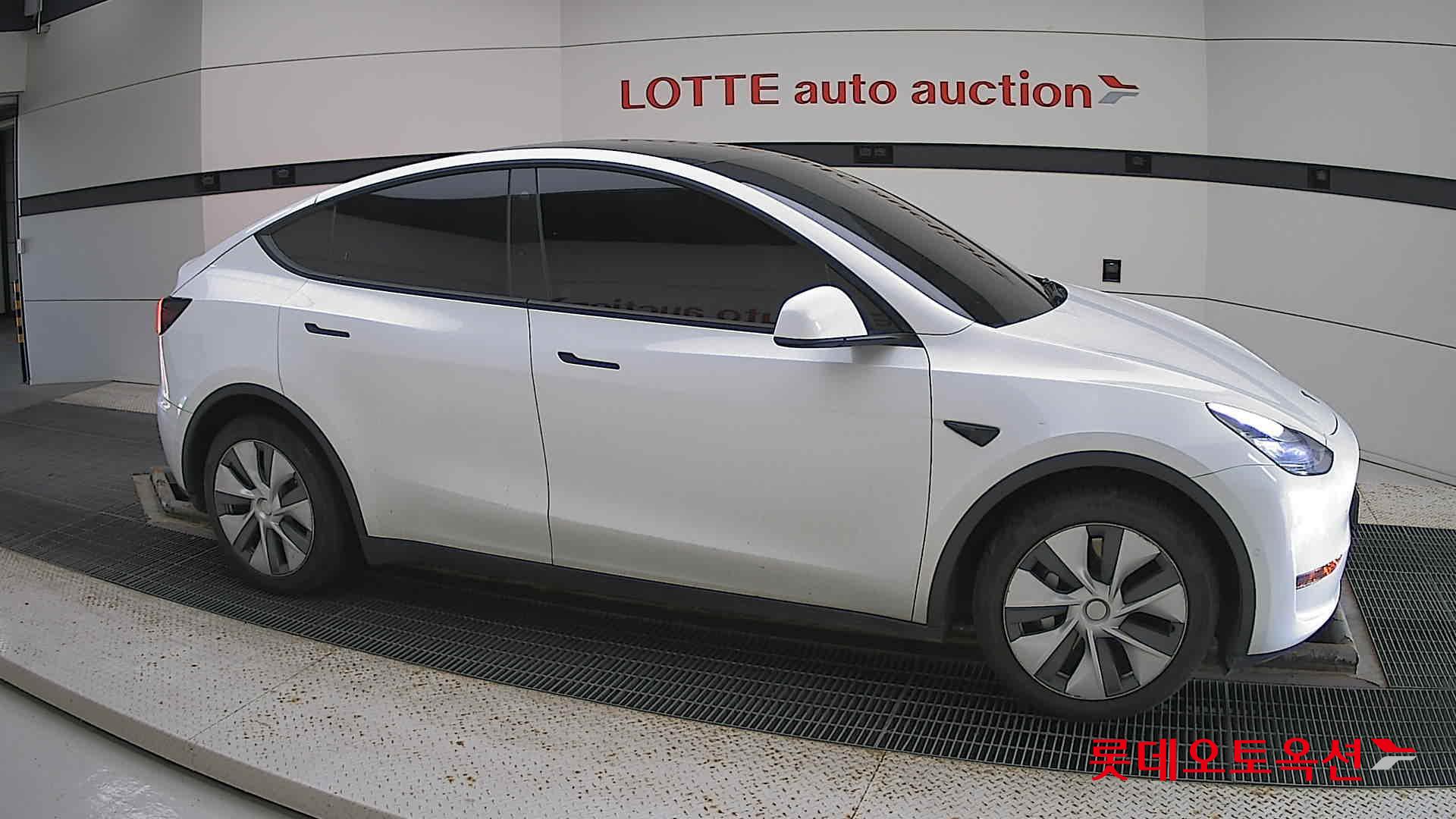 تسلا MODEL Y