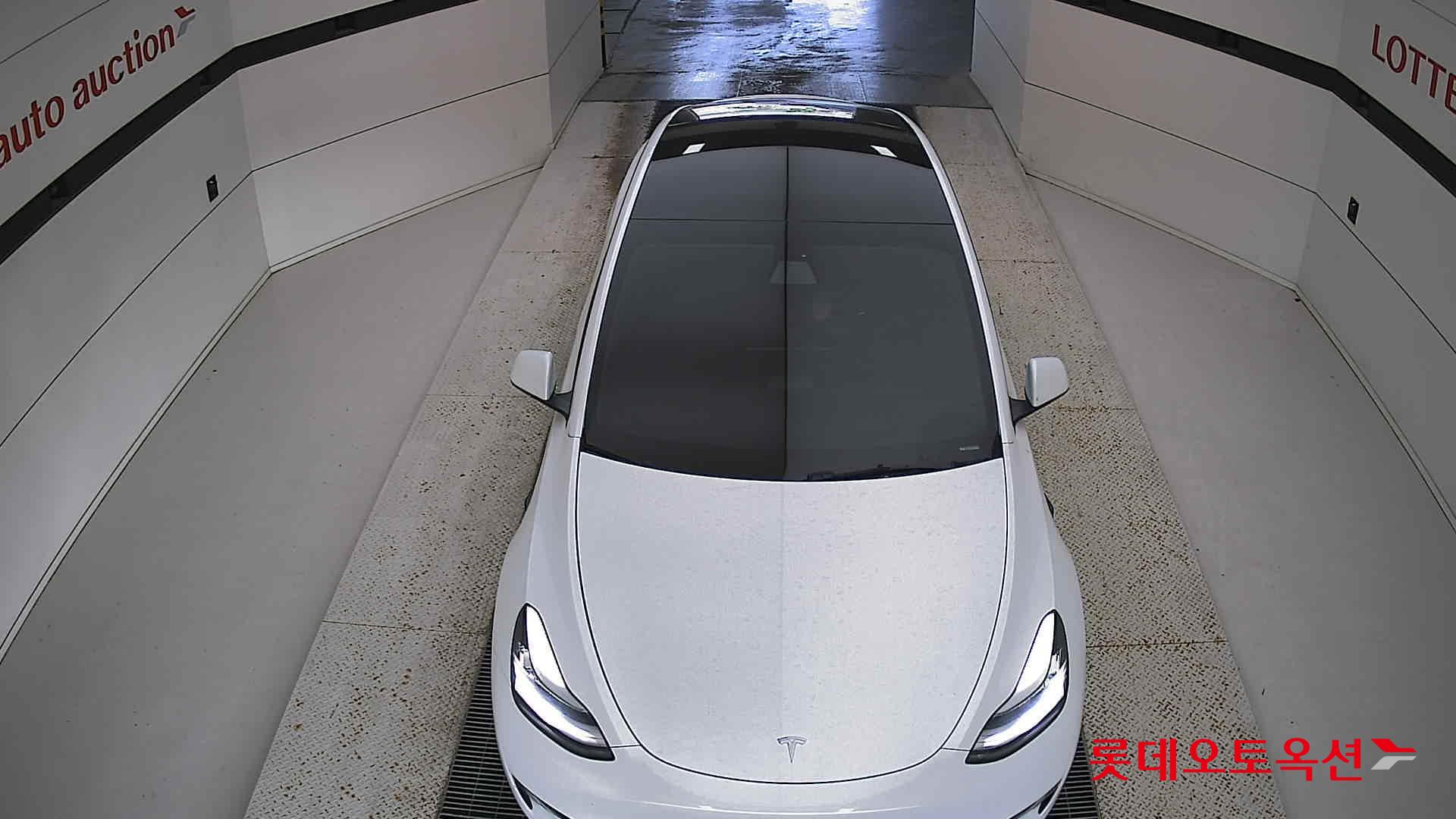 تسلا MODEL Y
