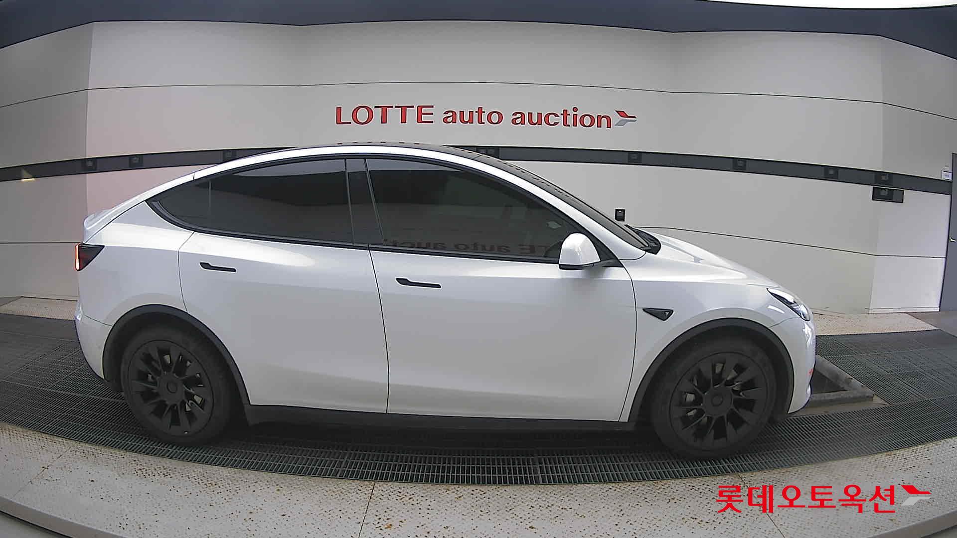 تسلا MODEL Y