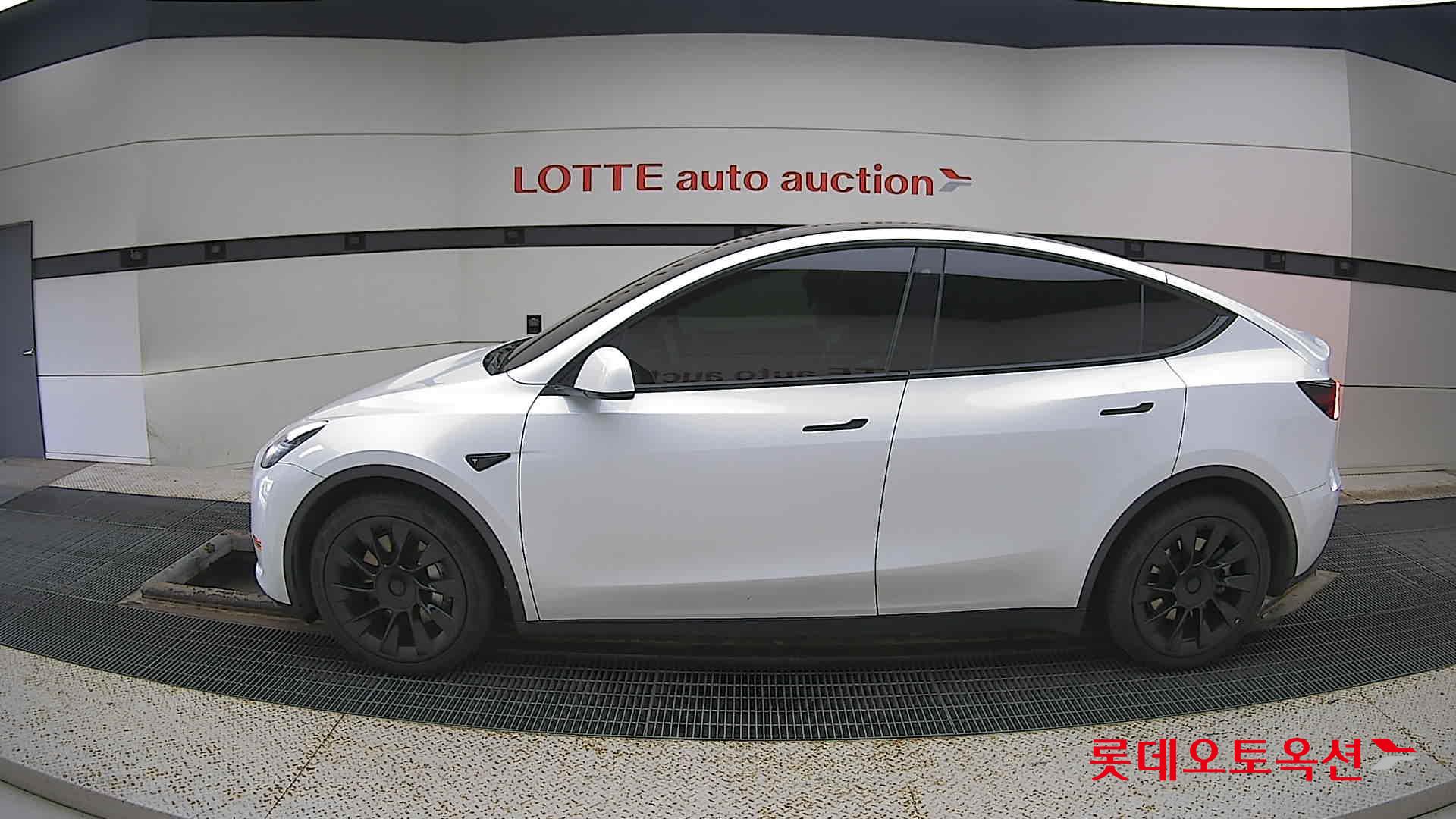 تسلا MODEL Y