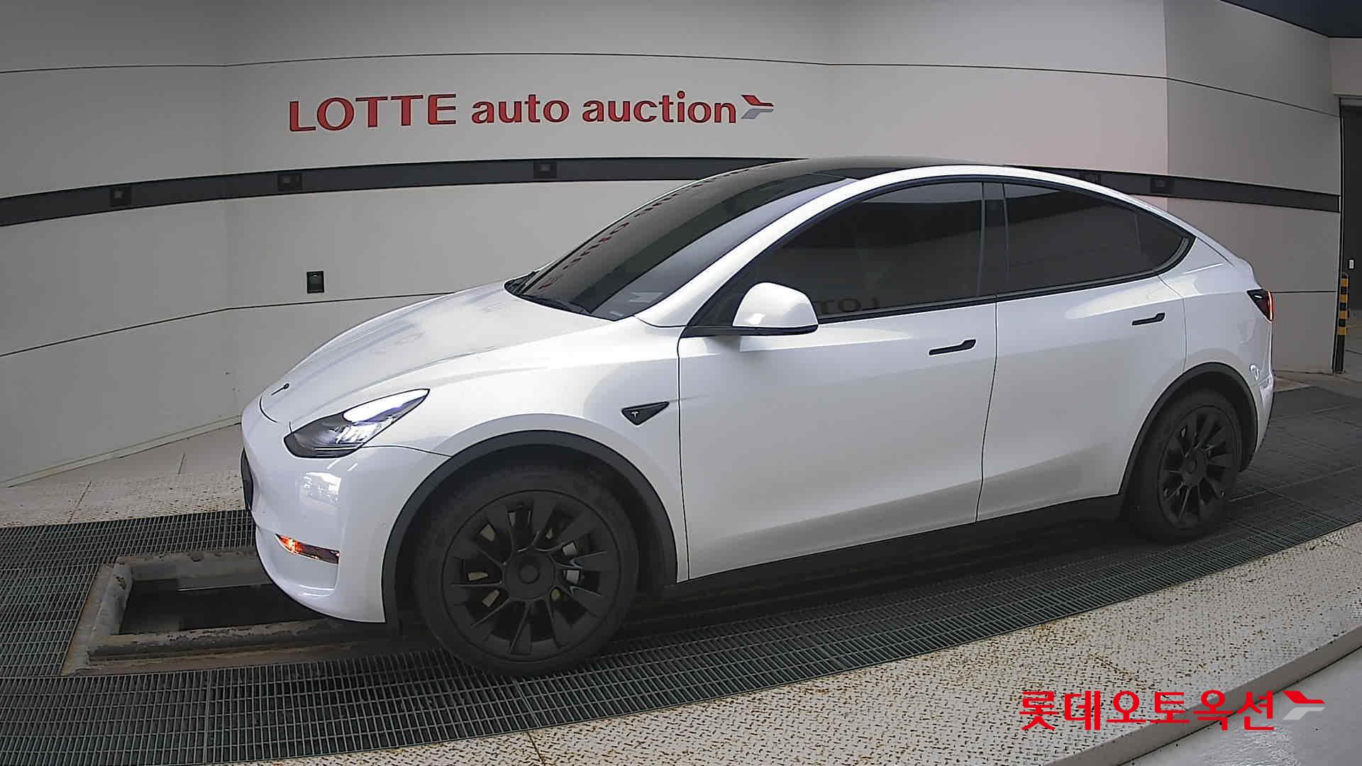 تسلا MODEL Y