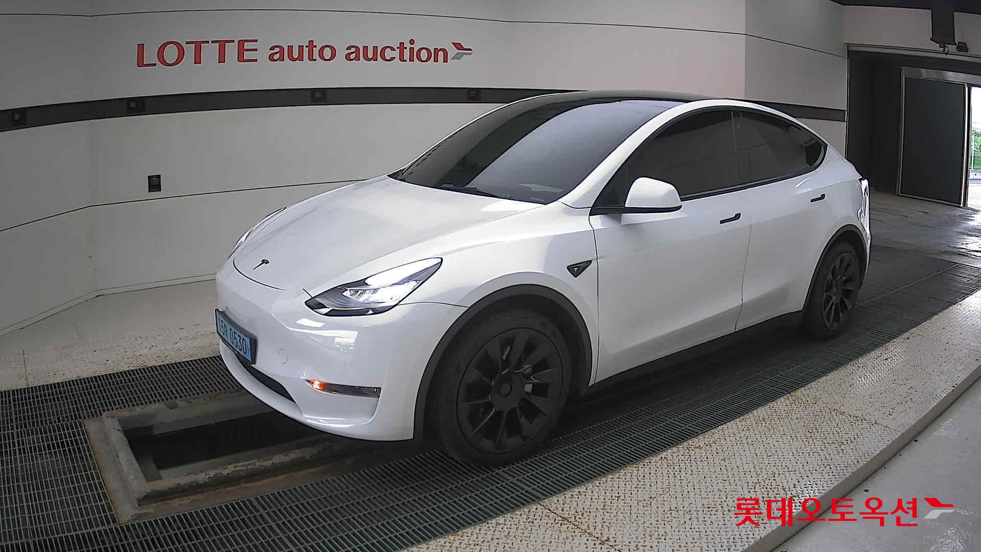 تسلا MODEL Y
