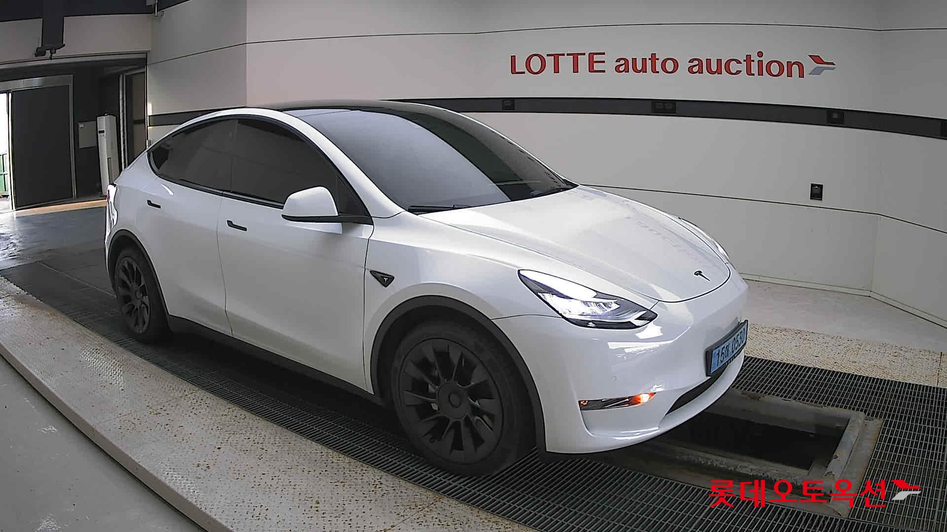تسلا MODEL Y