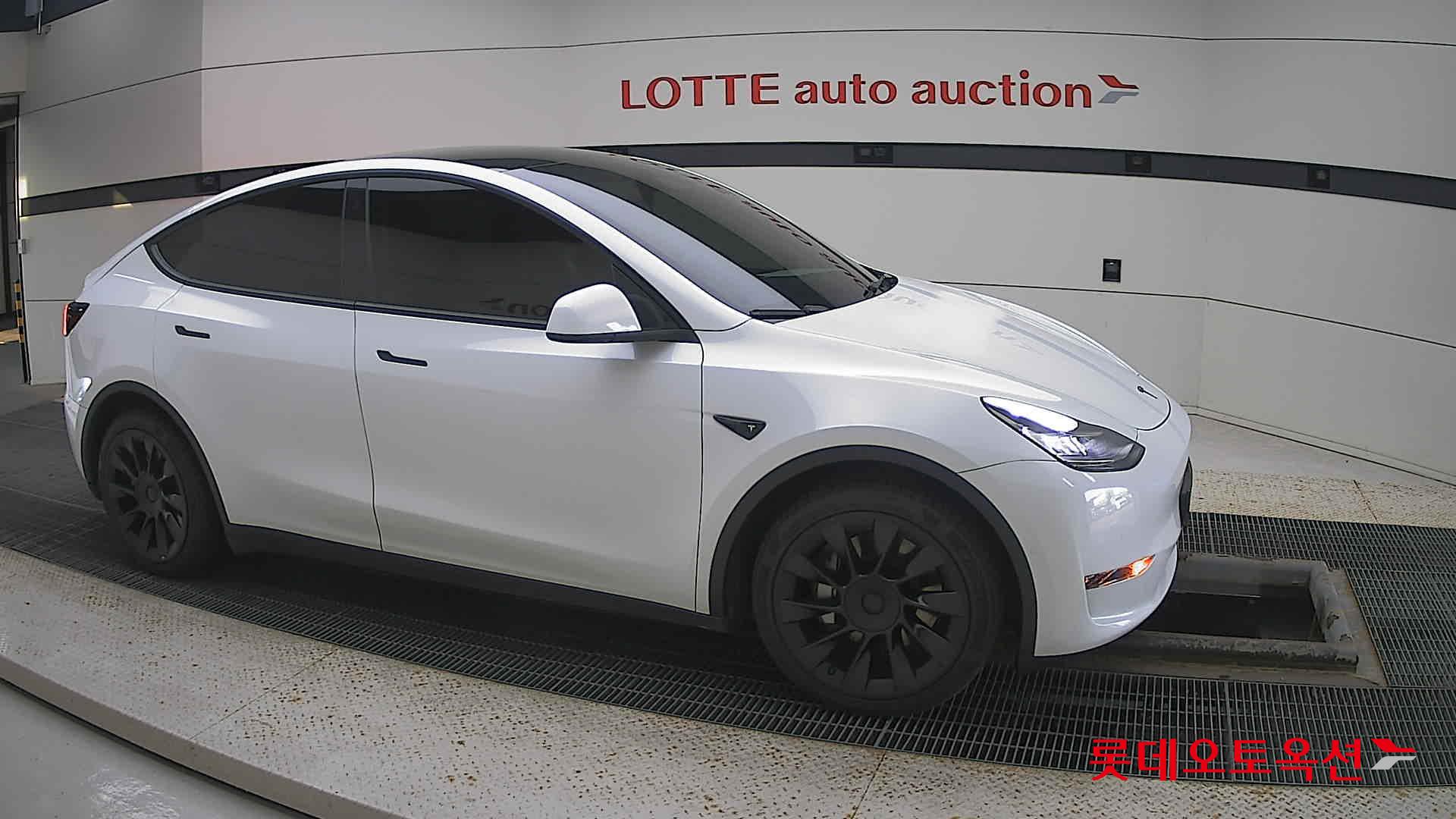 تسلا MODEL Y