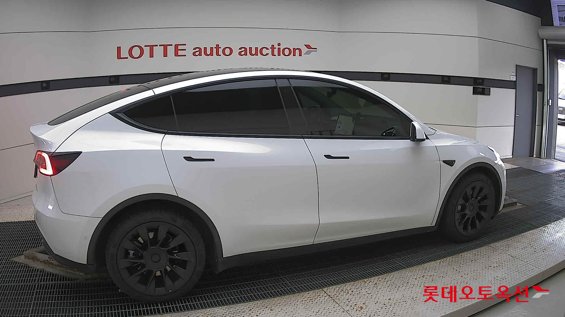 تسلا MODEL Y