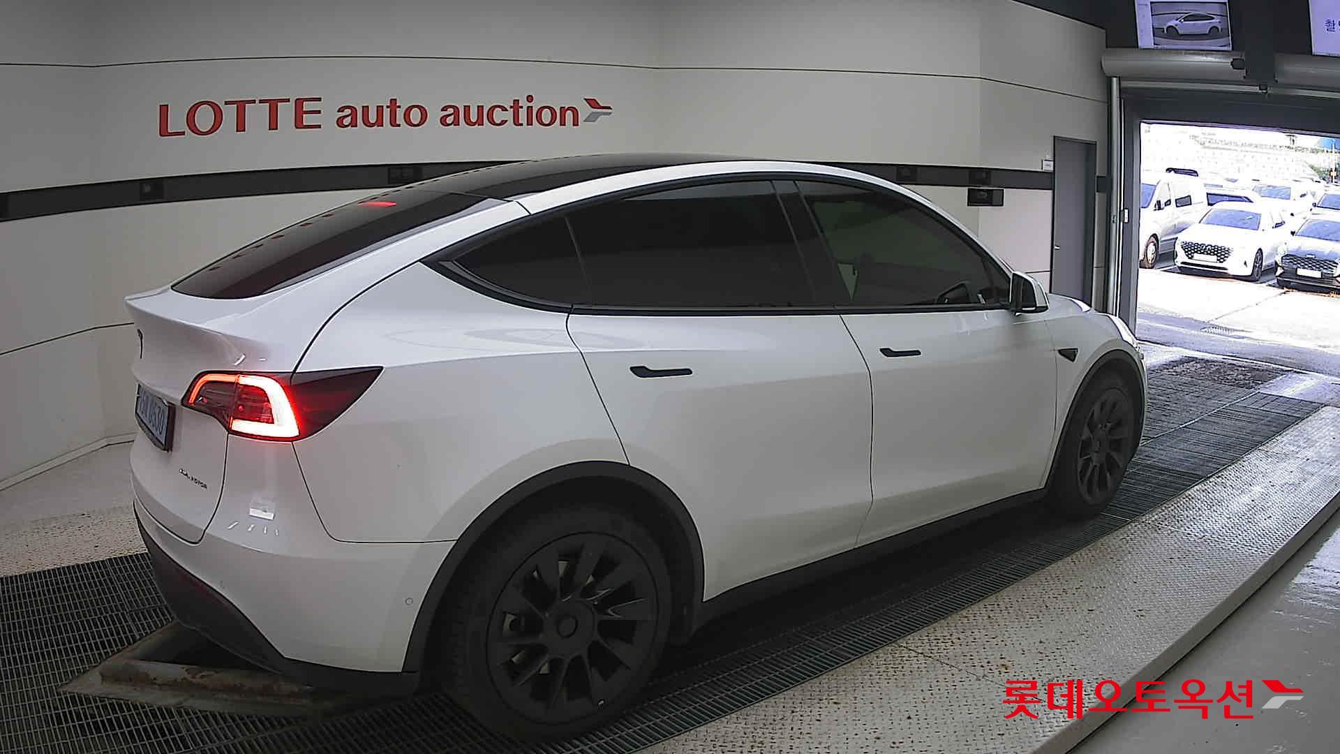 تسلا MODEL Y