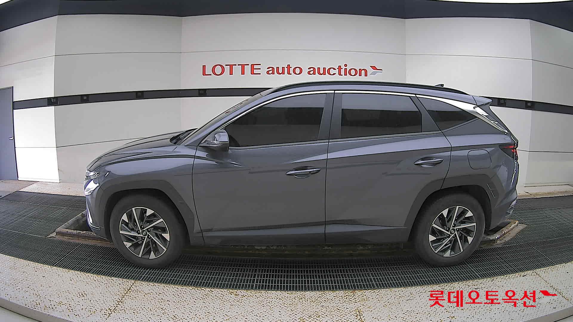  - Image 7