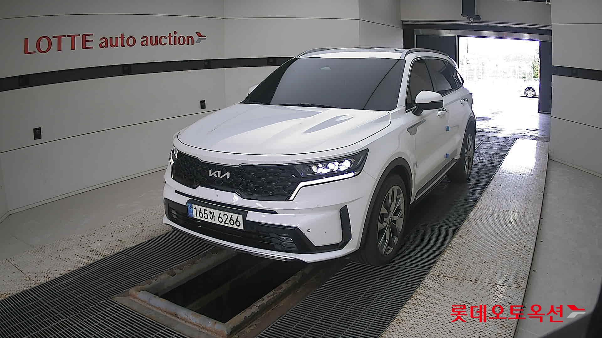 Kia Sorento 2022 Snow White Pearl (optional) из Кореи