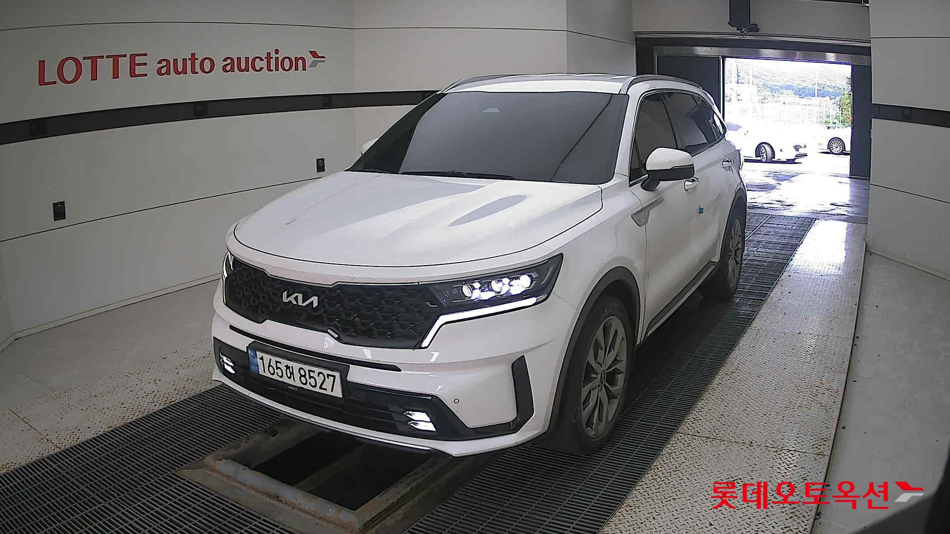 Kia Sorento 2022 Snow White Pearl (optional) из Кореи
