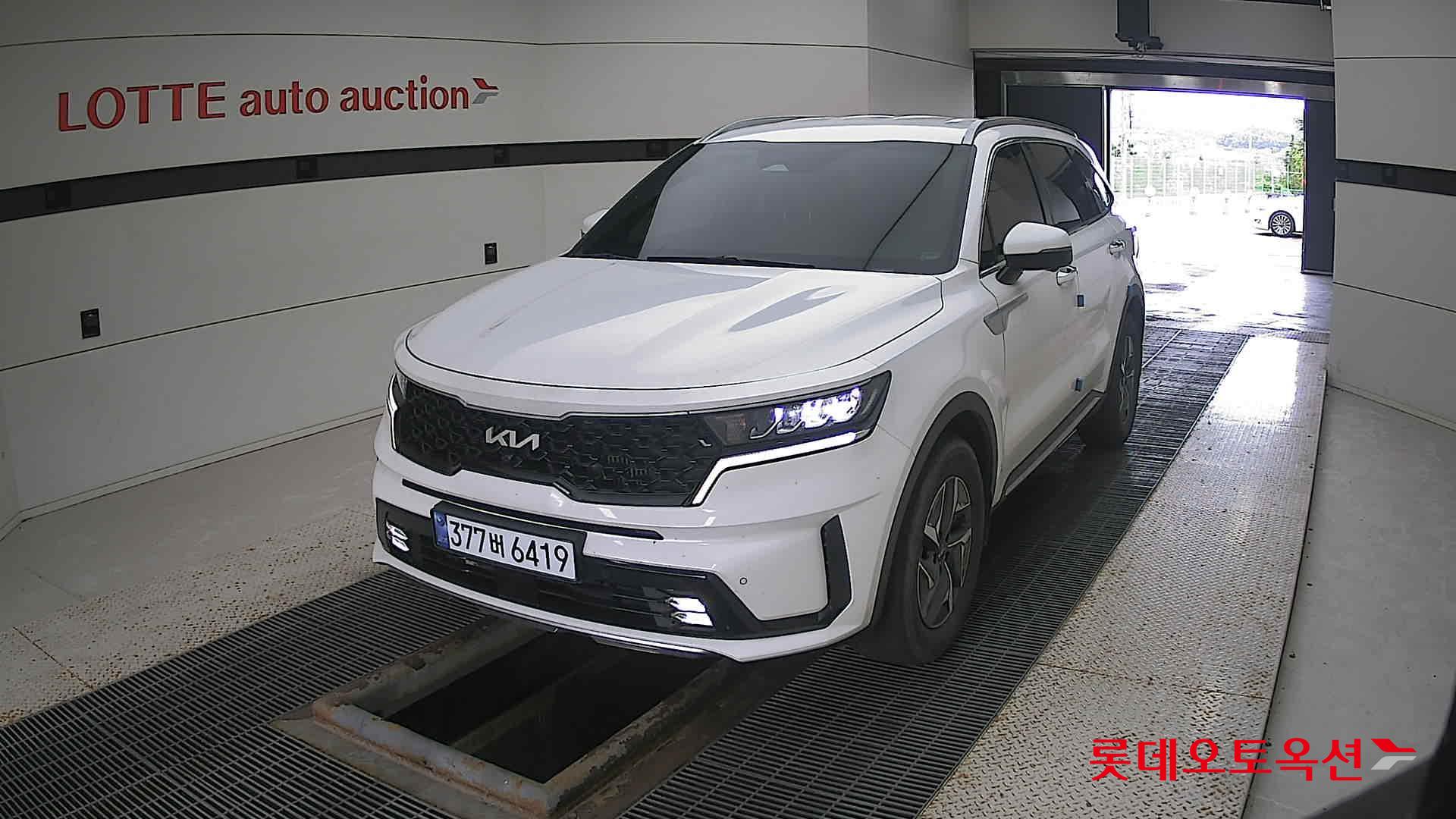 Kia Sorento Hybrid 2022 Белый из Кореи