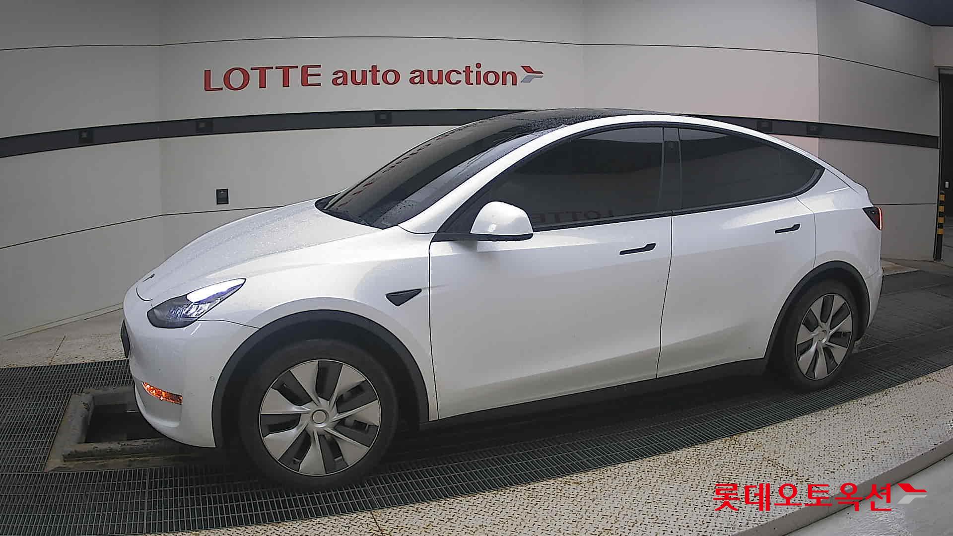 تسلا MODEL Y