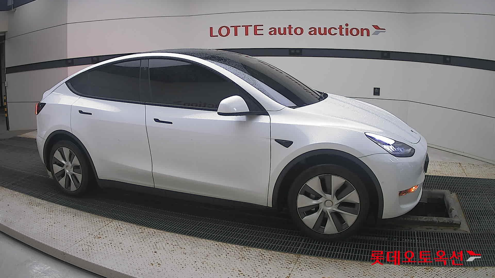 تسلا MODEL Y