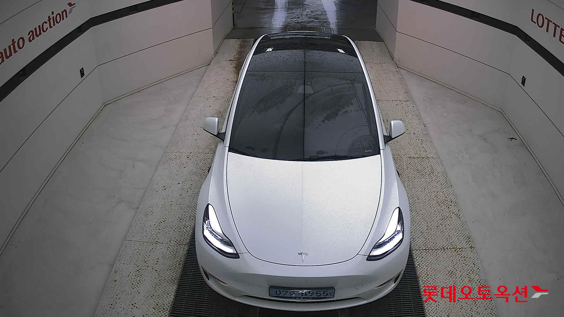 تسلا MODEL Y