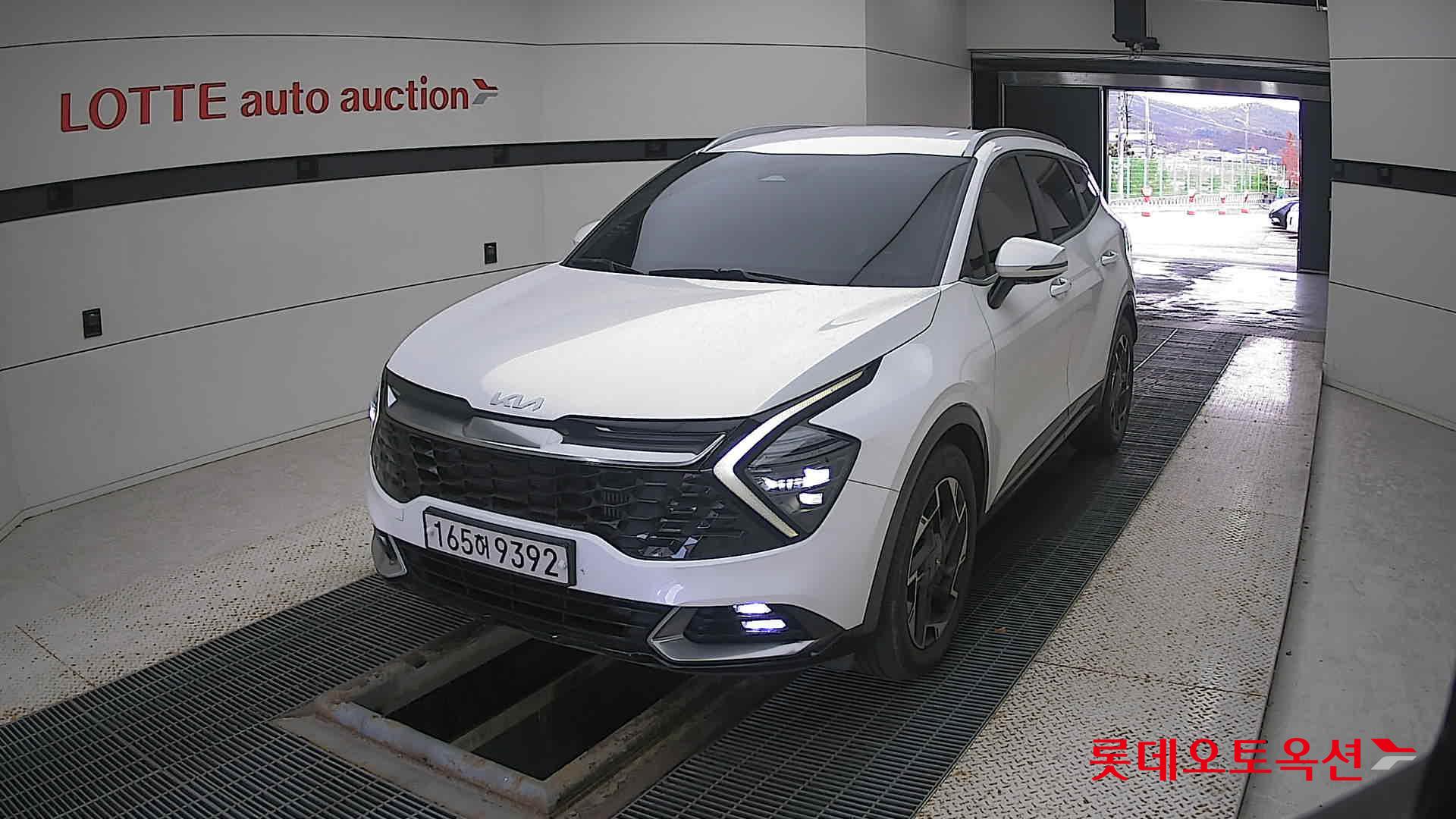 Kia Sportage 2022 Snow White Pearl (optional) из Кореи