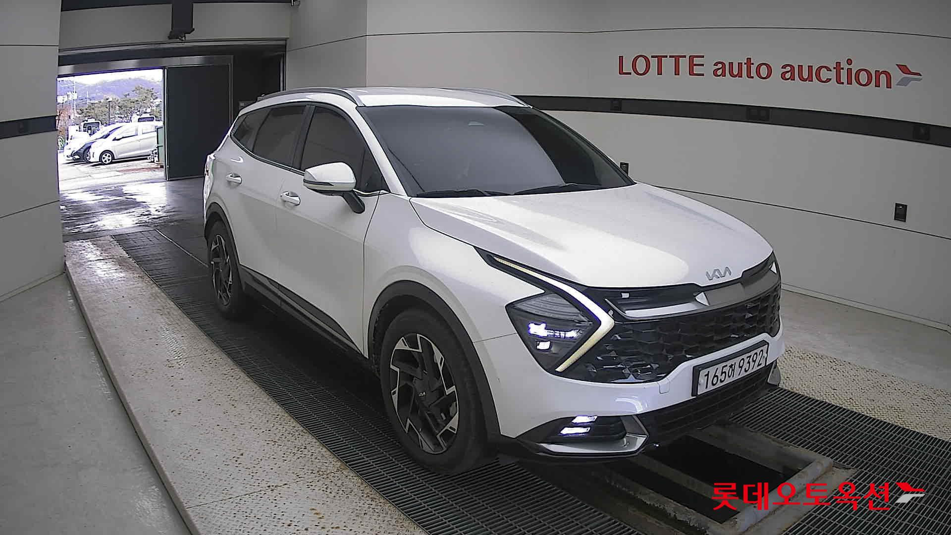 Kia Sportage 2022 Snow White Pearl (optional) из Кореи, фото 2