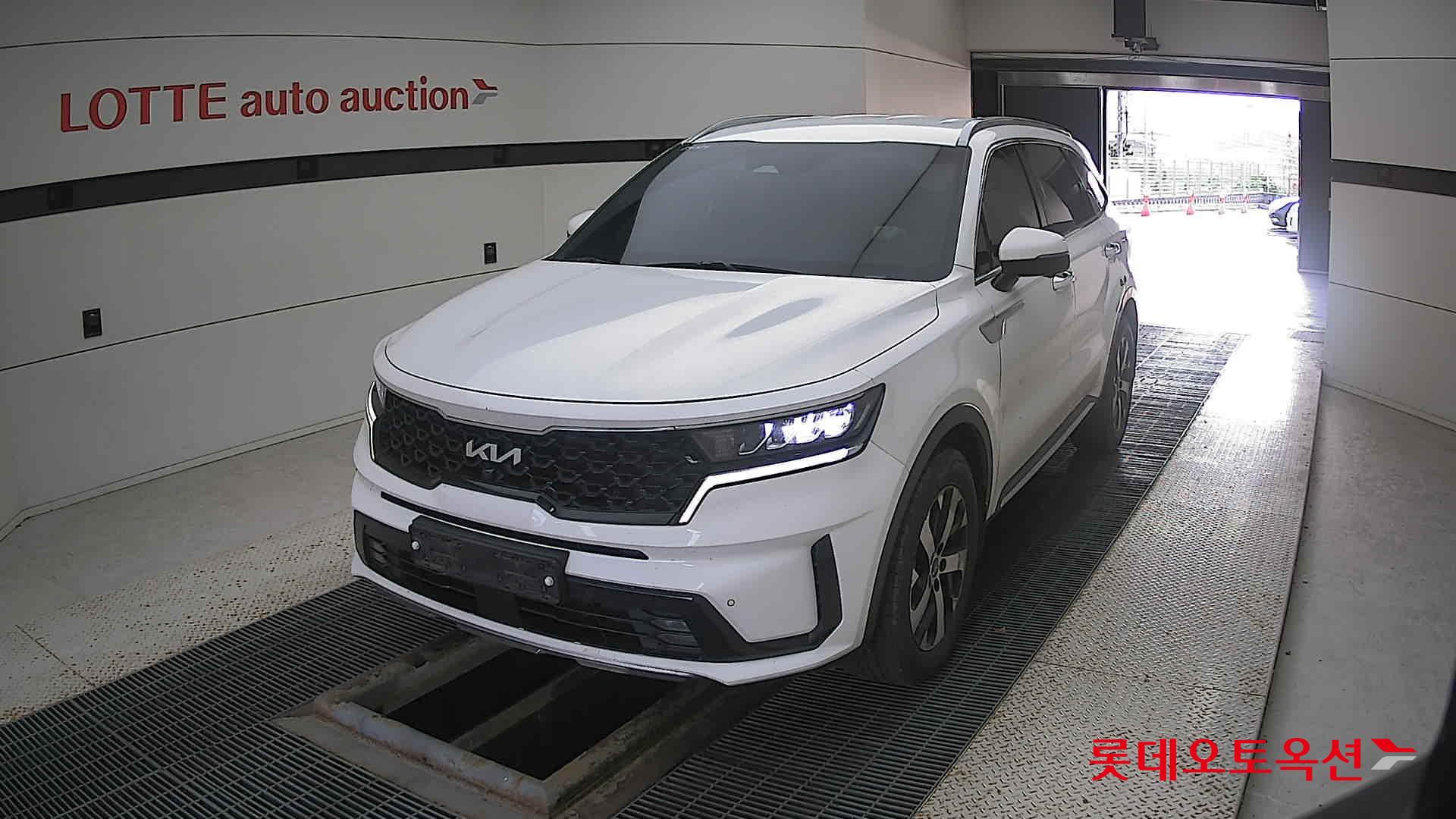 Kia Sorento 2022 Snow White Pearl (optional) из Кореи