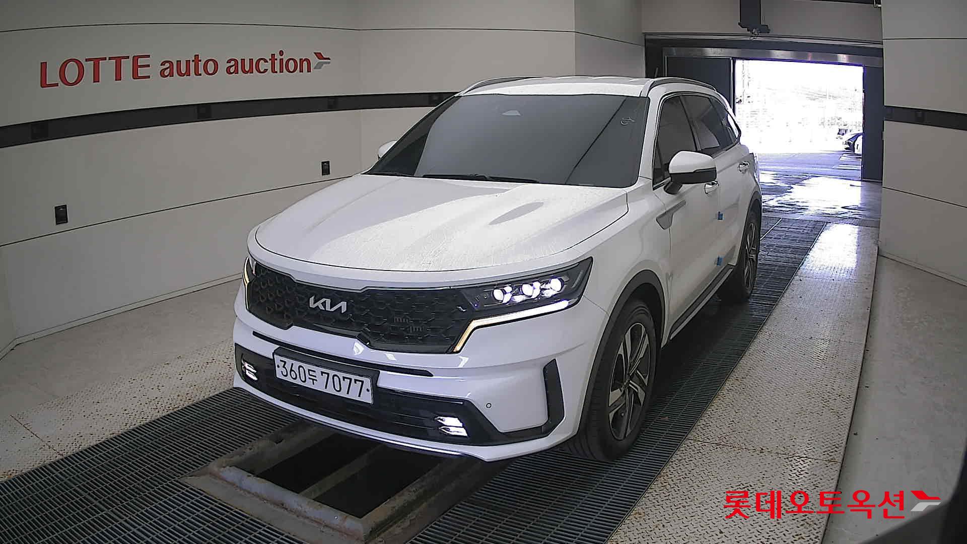 Kia Sorento Hybrid 2022 Белый из Кореи