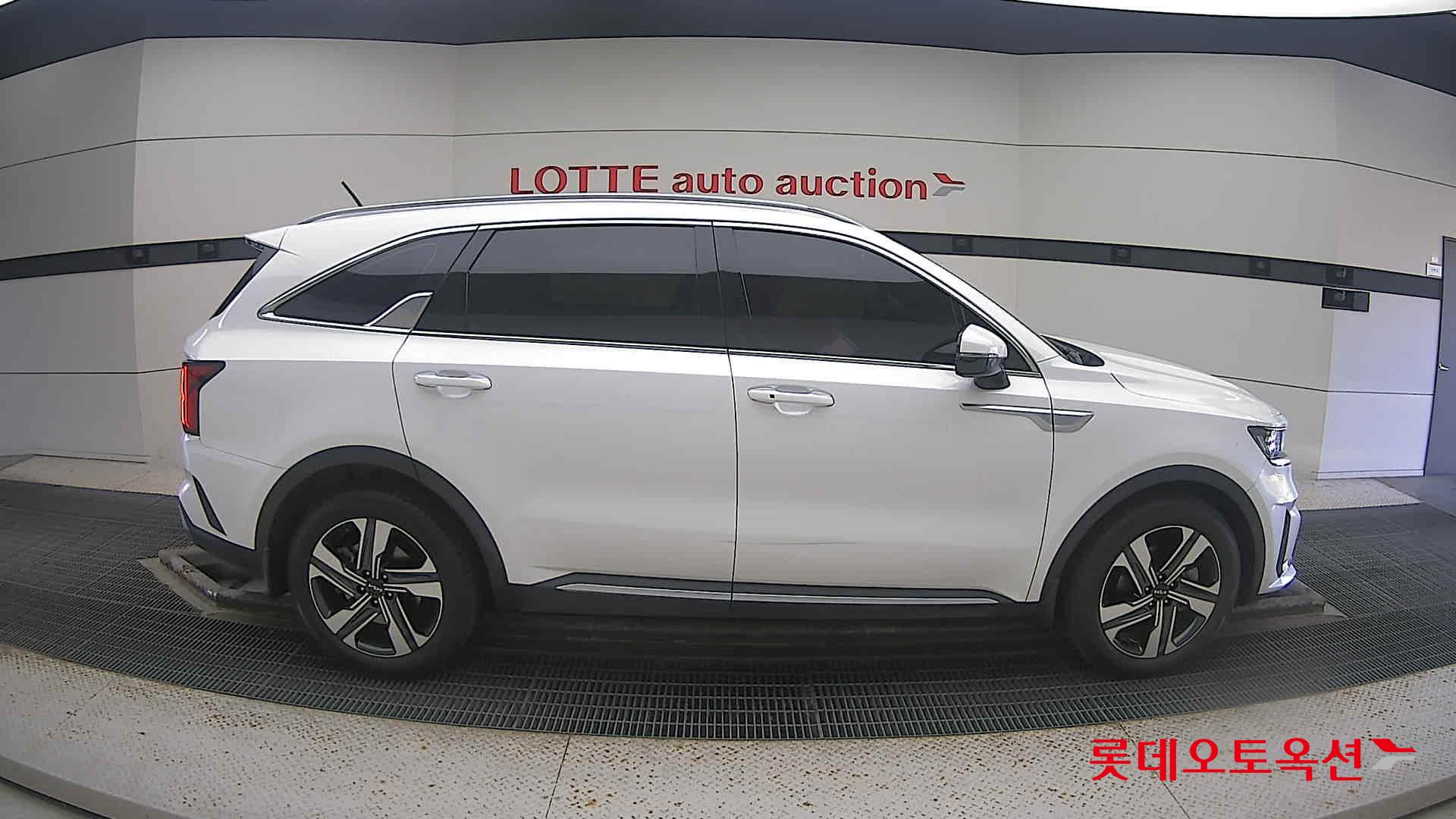 Kia Sorento Hybrid 2022 Белый из Кореи, фото 3