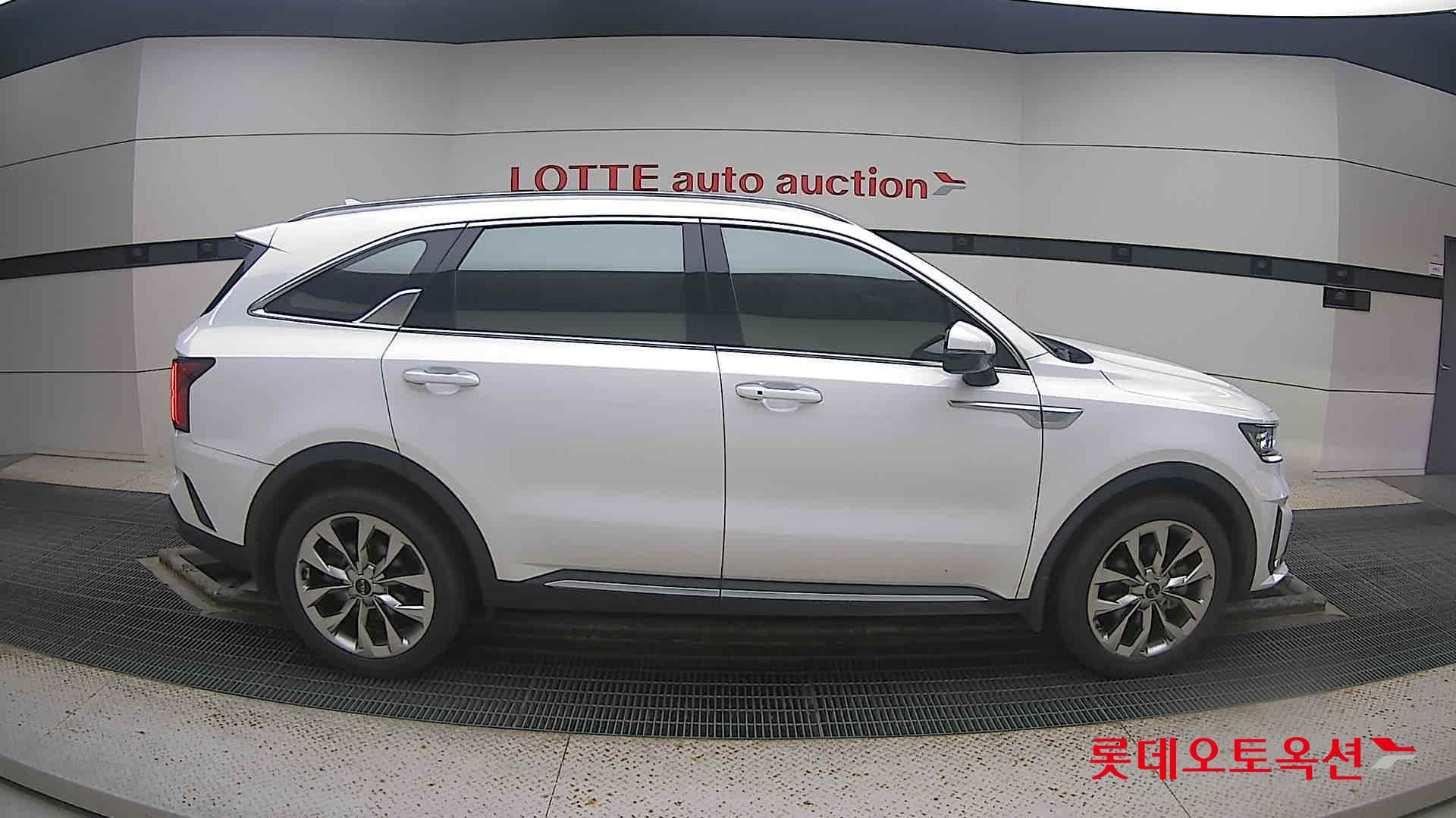 Kia Sorento 2023 Белый из Кореи, фото 3