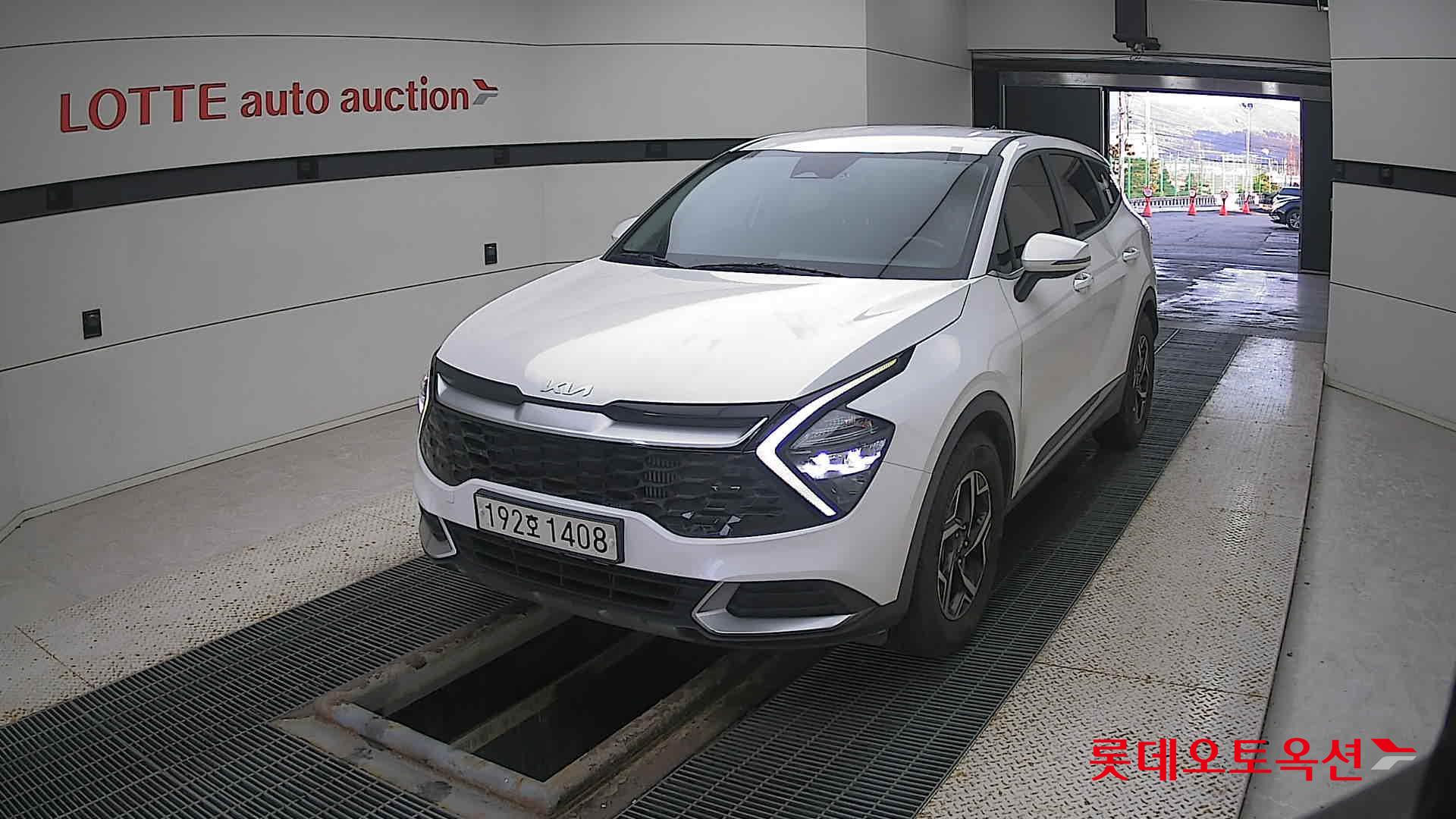 Kia Sportage 2022 Snow White Pearl (optional) из Кореи