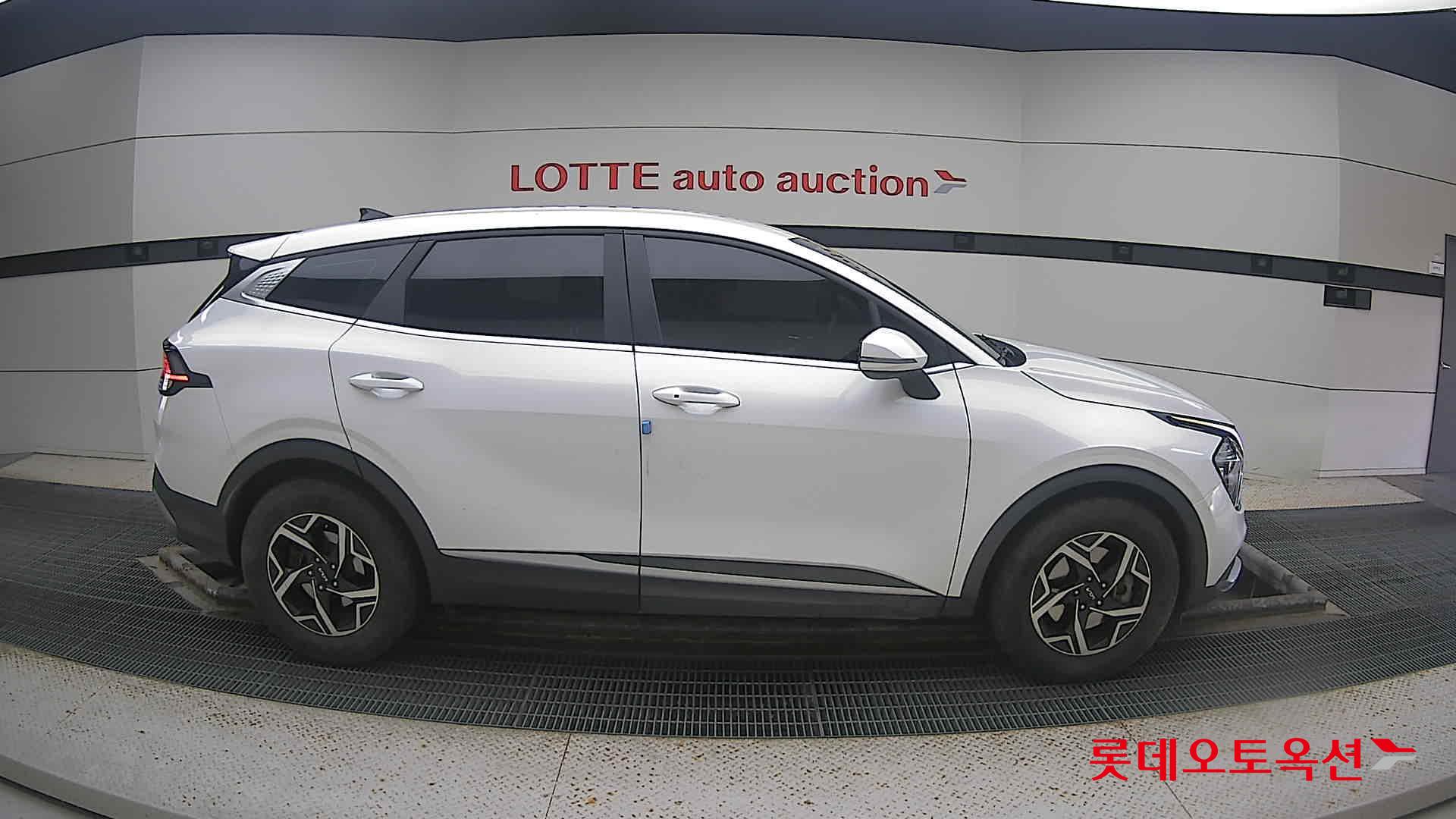 Kia Sportage 2022 Snow White Pearl (optional) из Кореи, фото 3