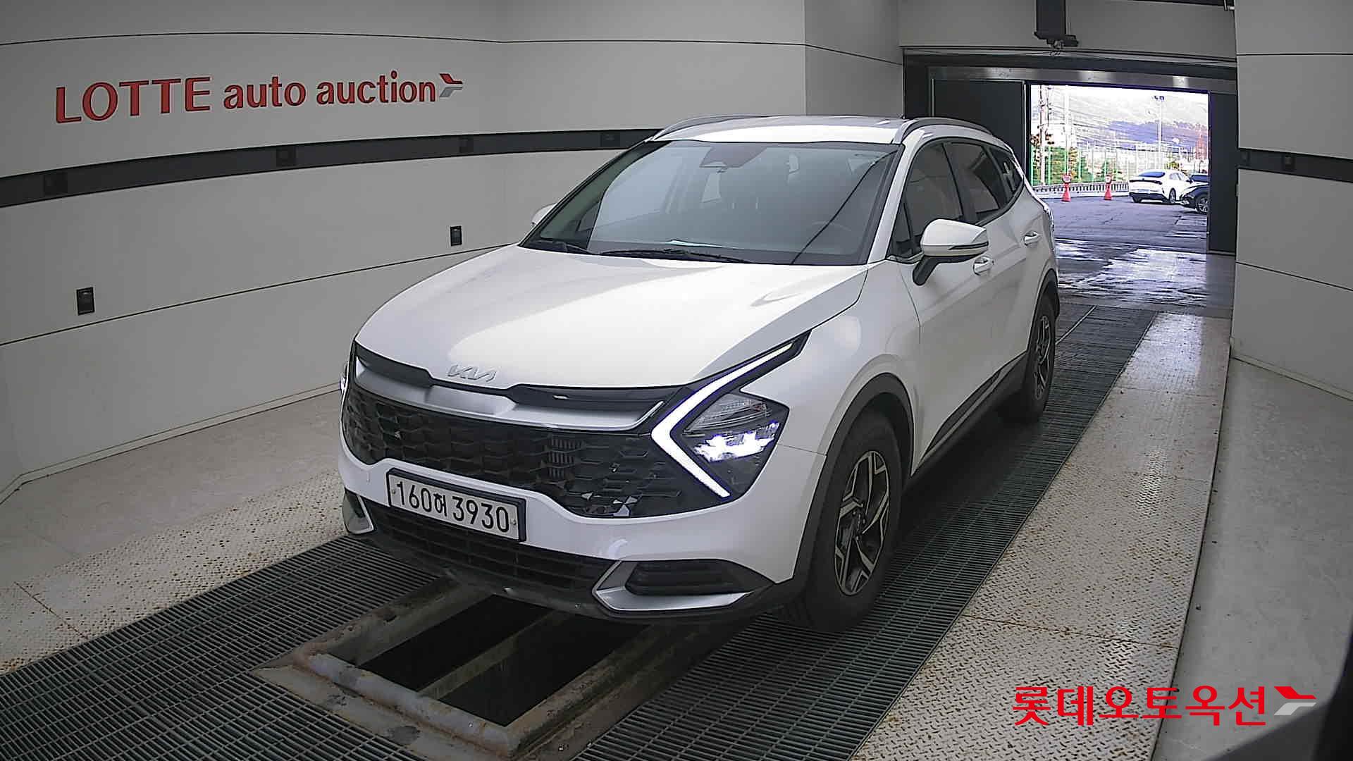 Kia Sportage 2022 Snow White Pearl (optional) из Кореи