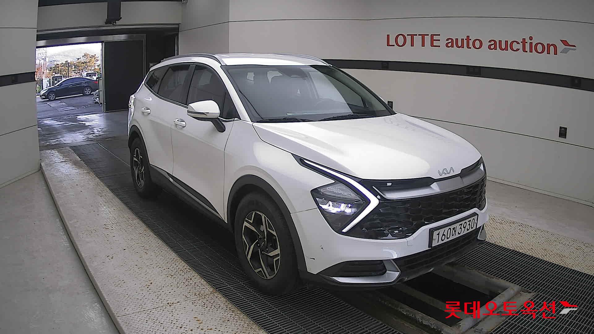 Kia Sportage 2022 Snow White Pearl (optional) из Кореи, фото 2