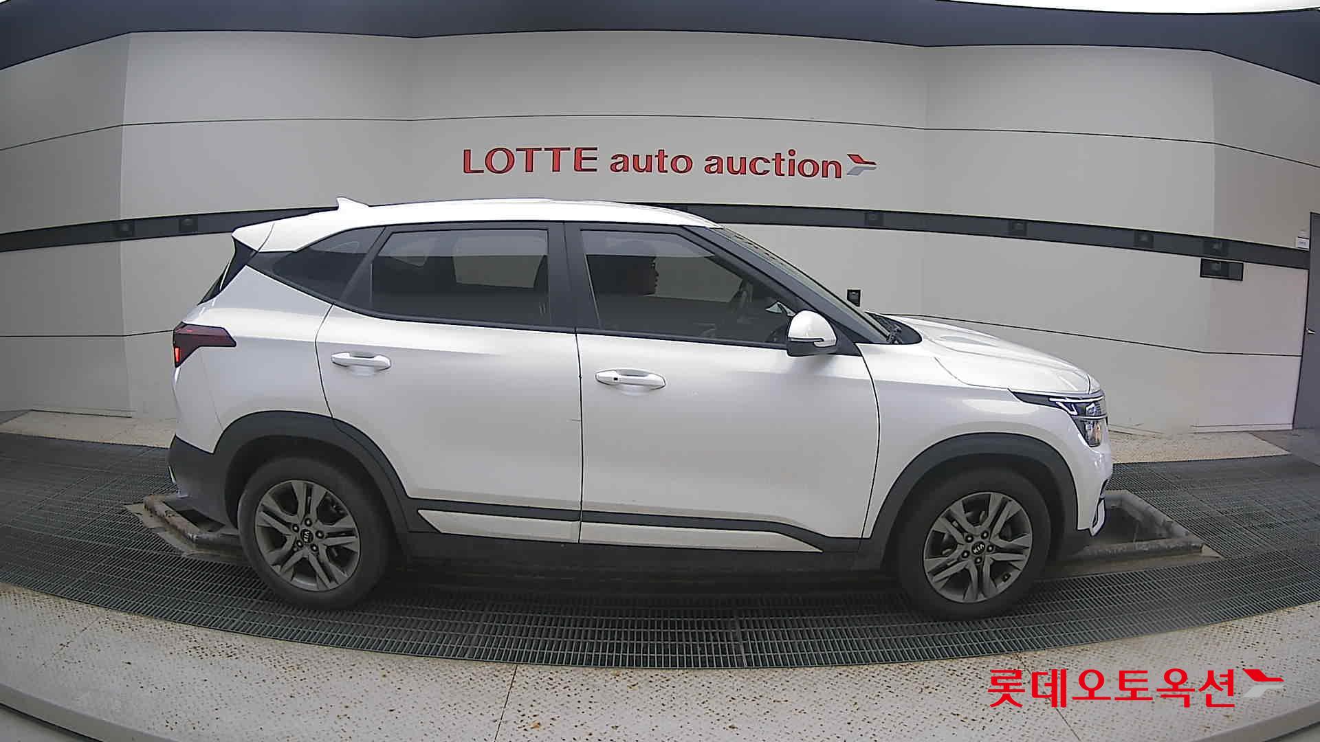 Kia Seltos 2022 Snow White Pearl из Кореи, фото 3