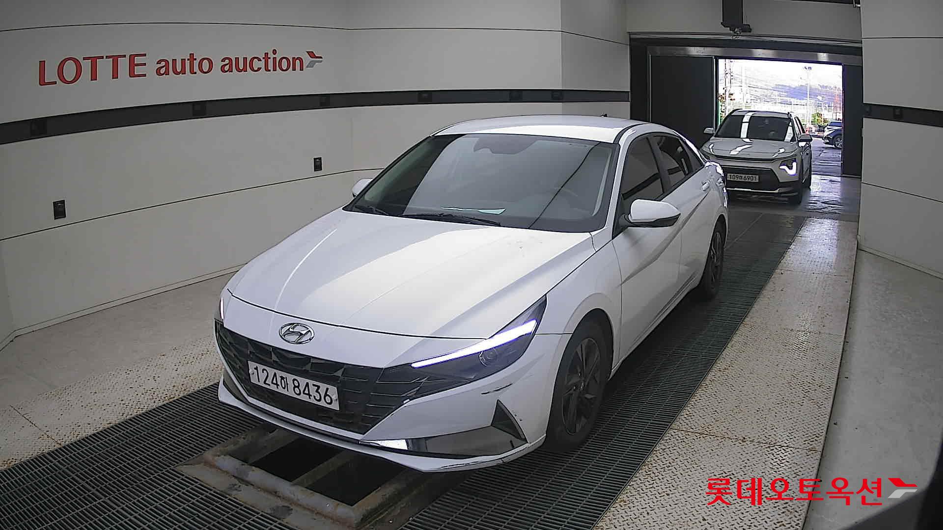 Hyundai Avante Hybrid 2022 Polar White из Кореи