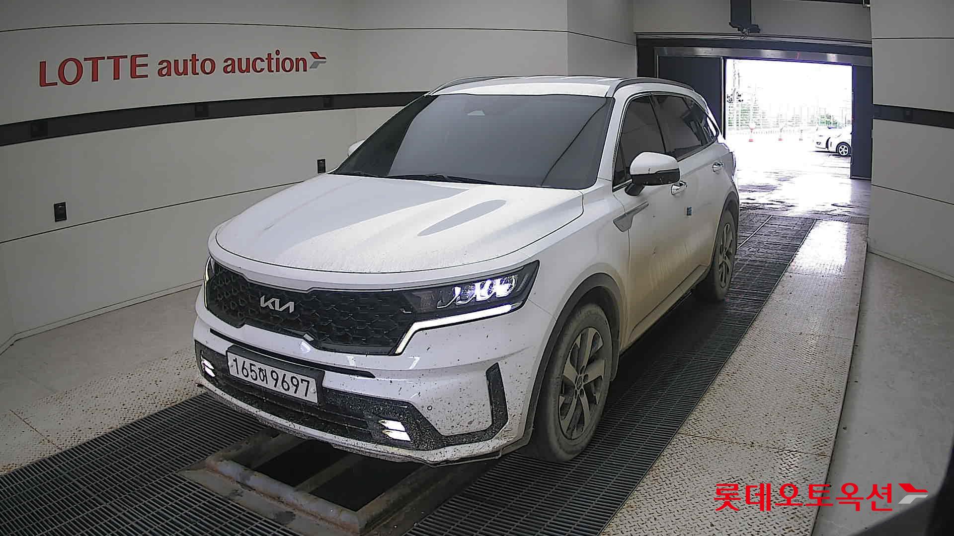 Kia Sorento 2022 Snow White Pearl (optional) из Кореи