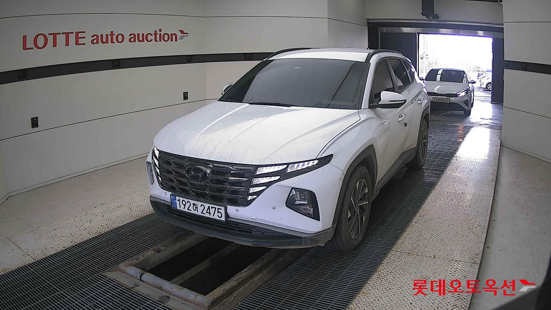 Hyundai Tucson 2023 Creamy White Pearl из Кореи