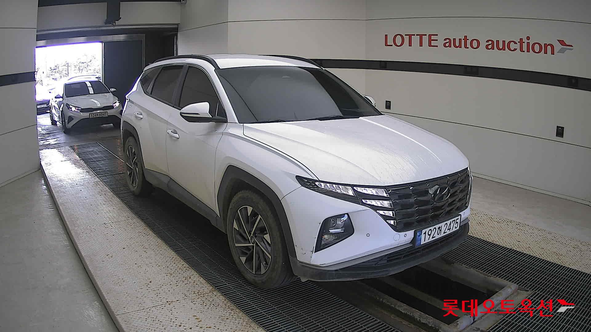 Hyundai Tucson 2023 Creamy White Pearl из Кореи, фото 2