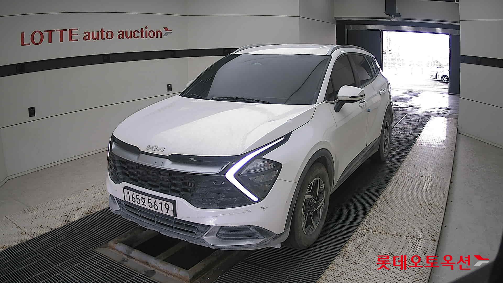 Kia Sportage 2022 Snow White Pearl (optional) из Кореи