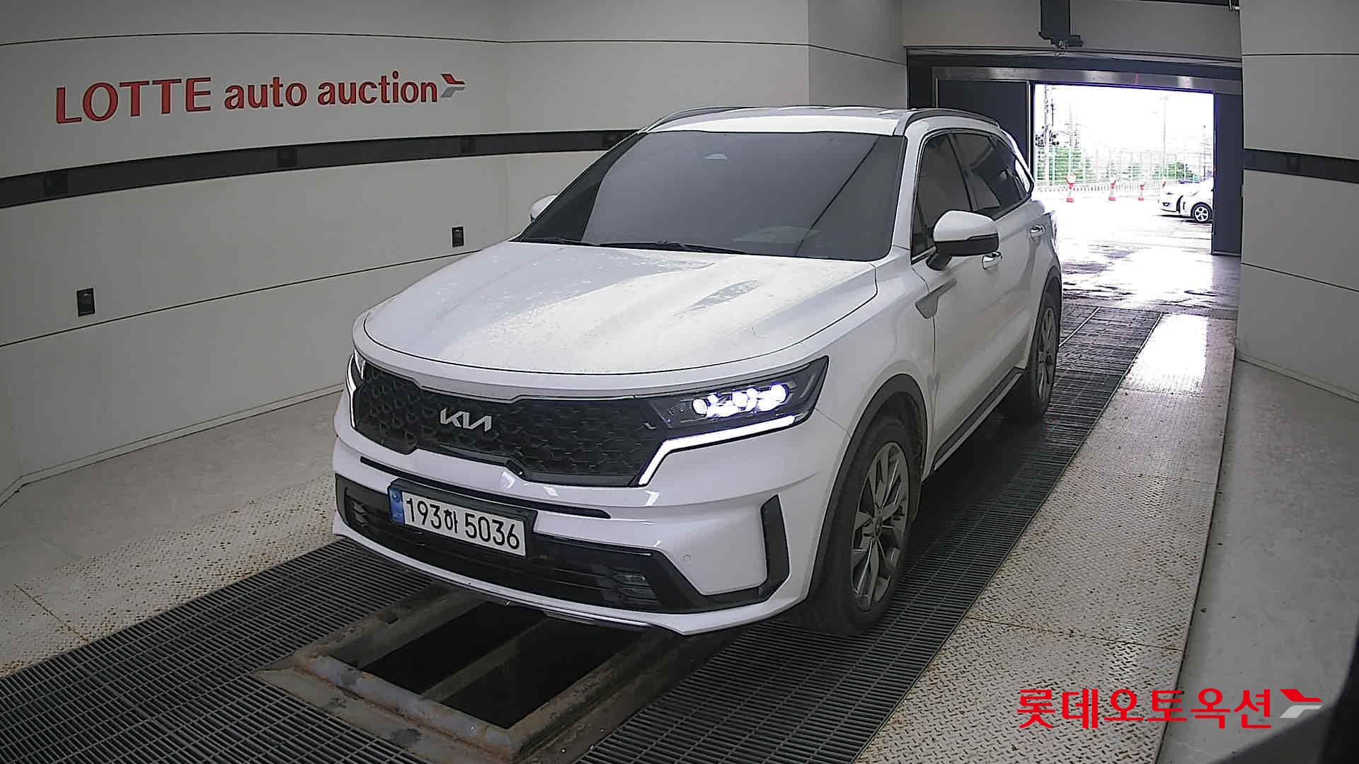 Kia Sorento 2022 Snow White Pearl (optional) из Кореи